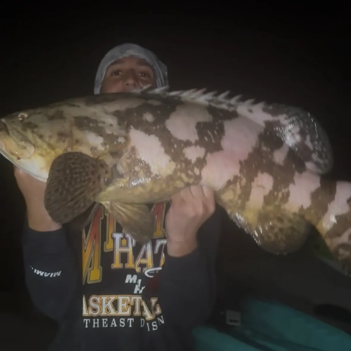 The most recent Atlantic goliath grouper catches on Fishbrain
