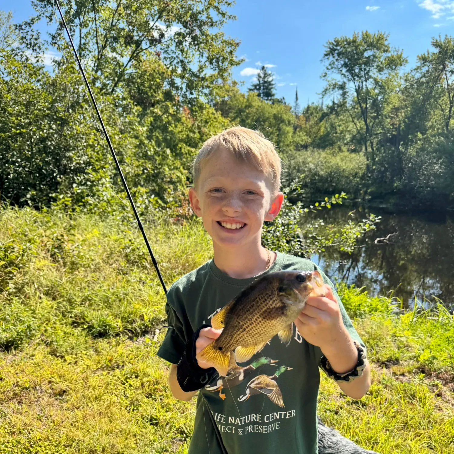 Fish caught on Fishbrain
