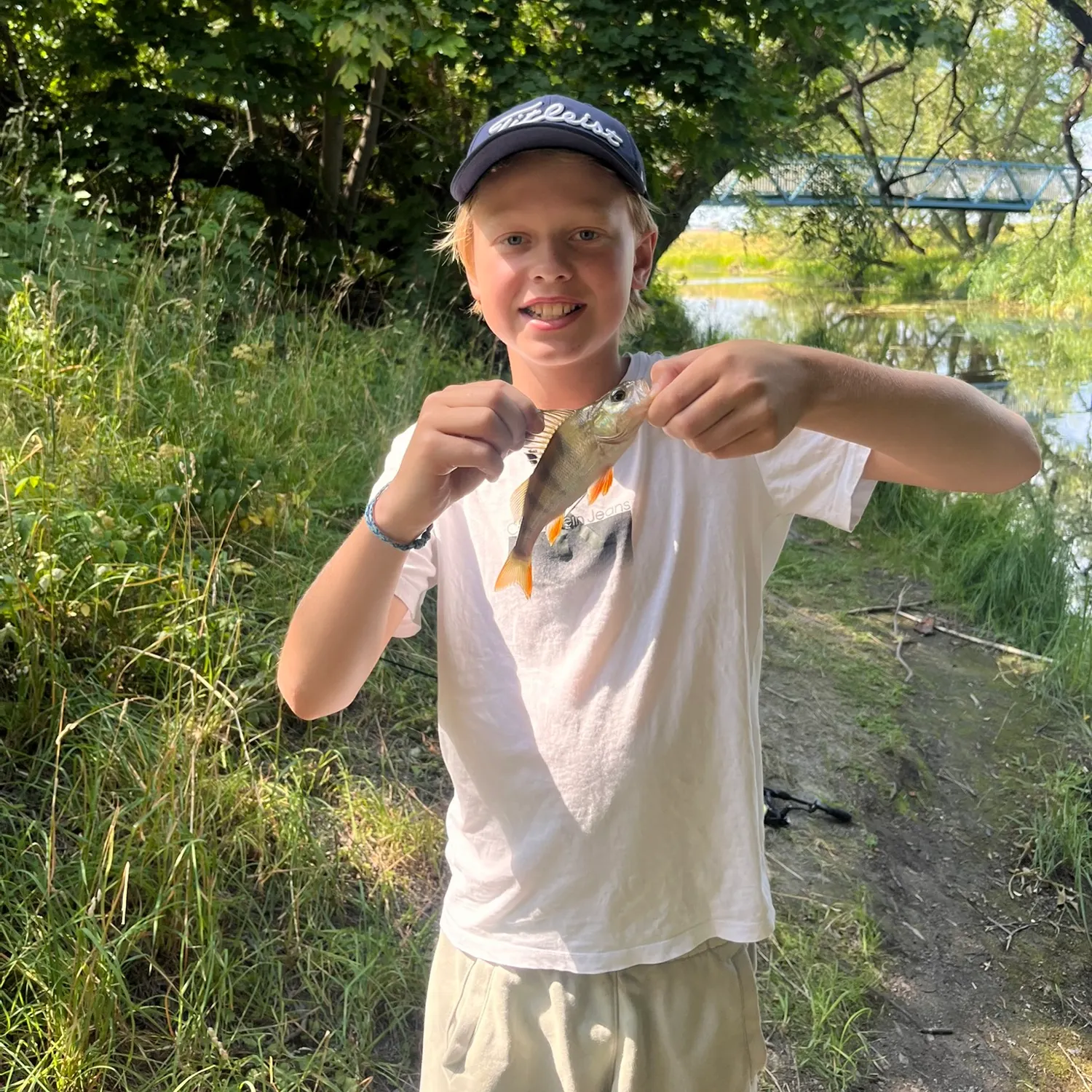 European perch caught on Fishbrain