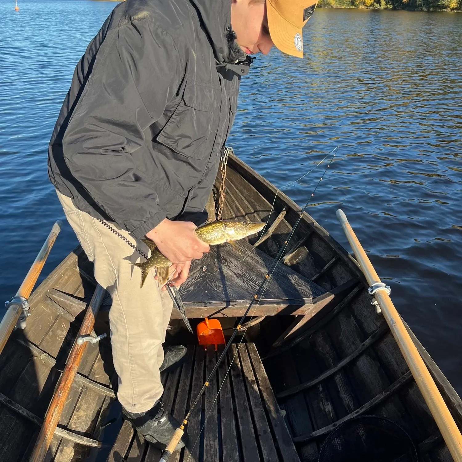 Northern pike caught on Fishbrain