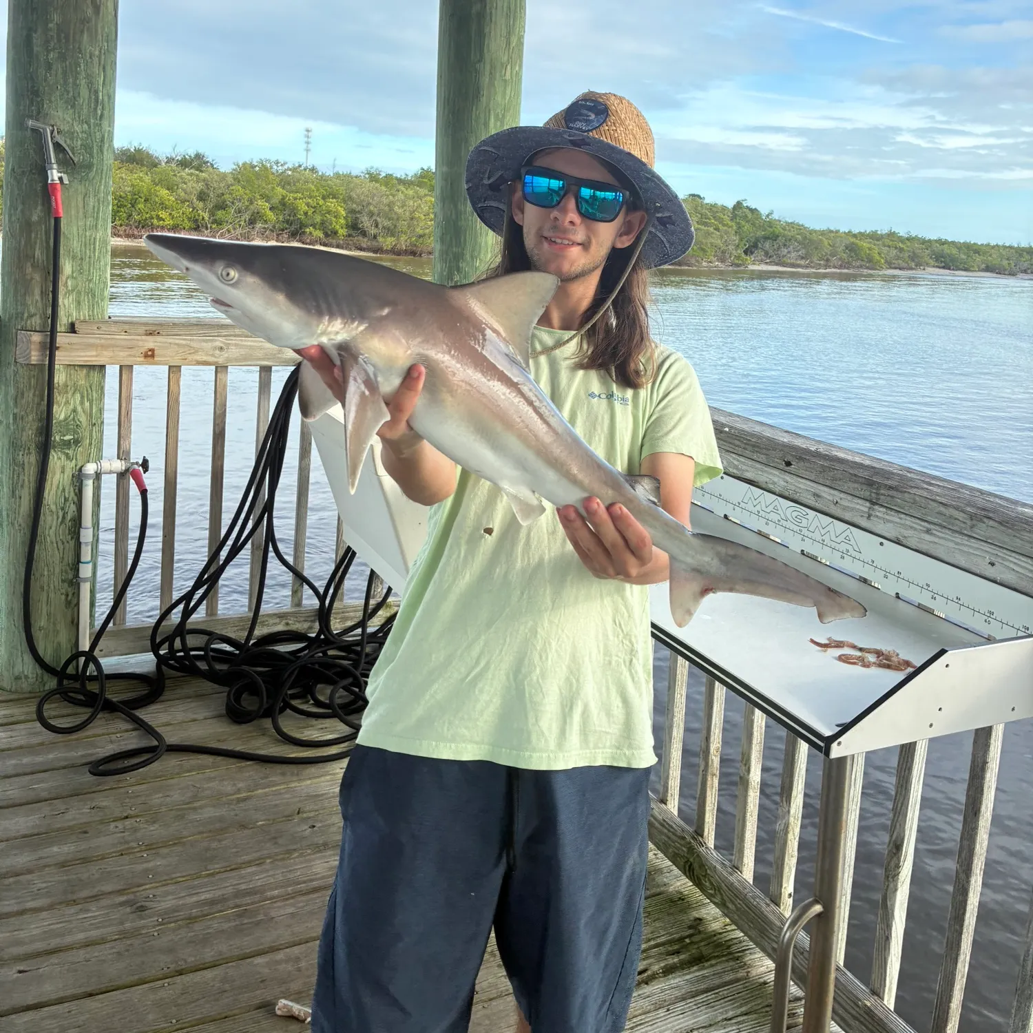 The most recent Sandbar shark catches on Fishbrain