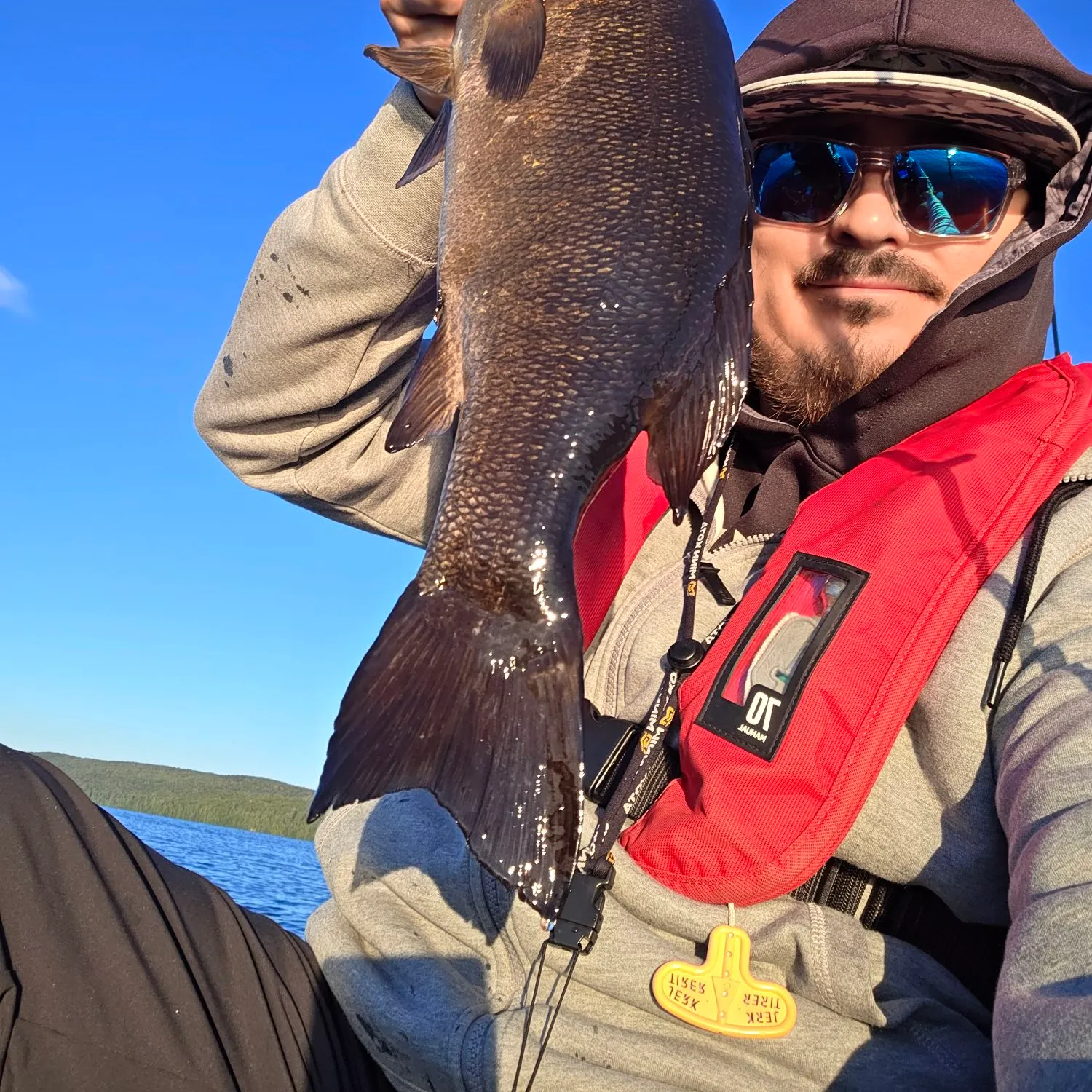 Smallmouth bass caught on Fishbrain
