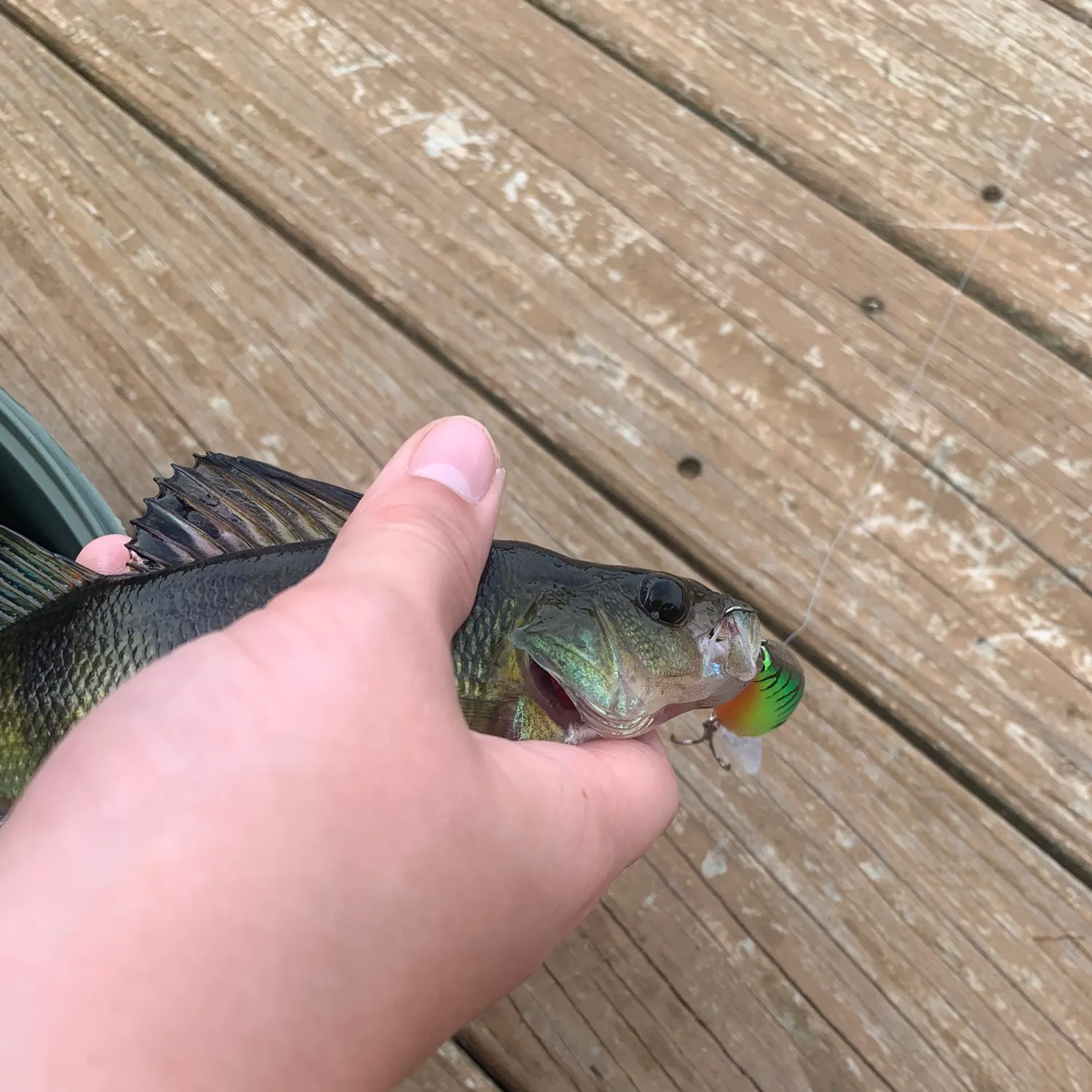 catch
