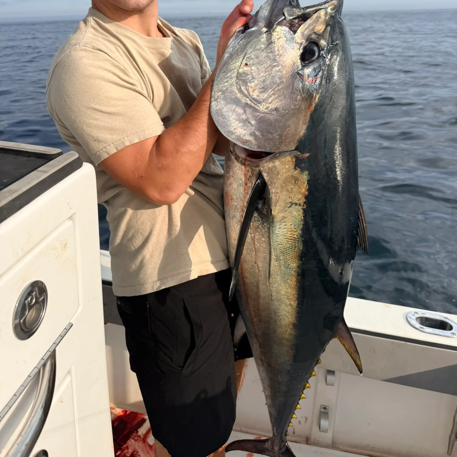 Atlantic bluefin tuna caught on Fishbrain