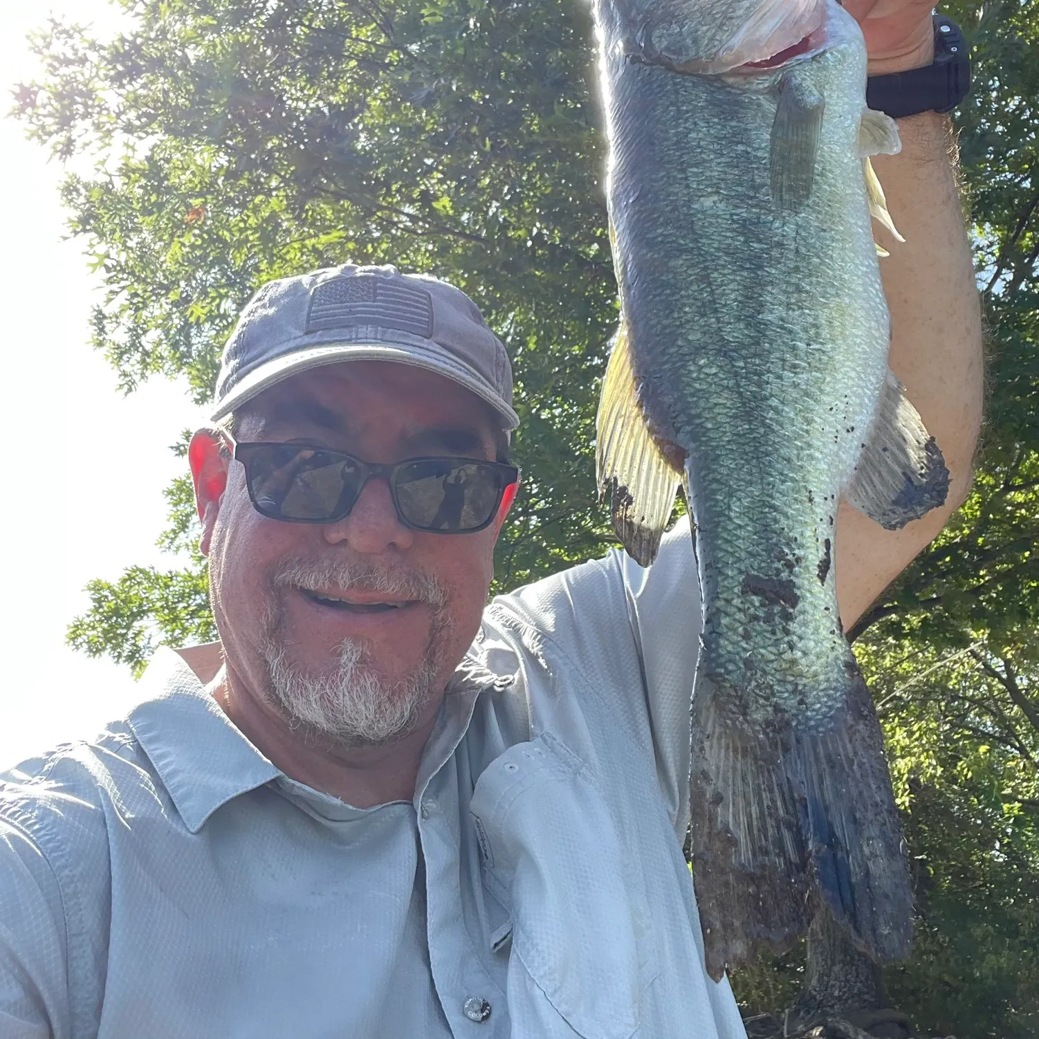 Largemouth bass caught on Fishbrain
