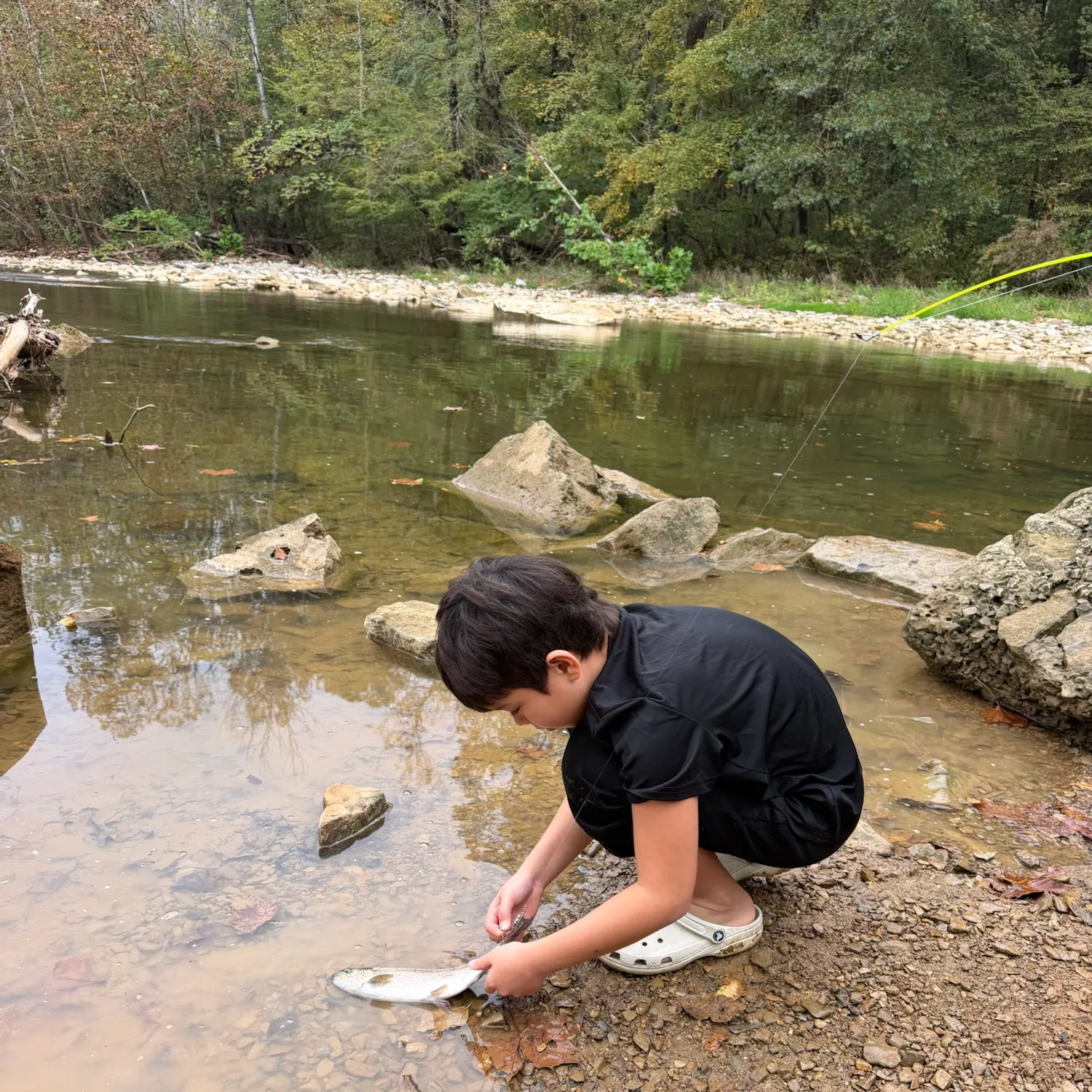 Fish caught on Fishbrain