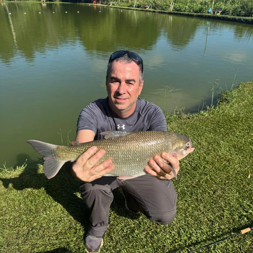 The most recent Matrichan catches on Fishbrain