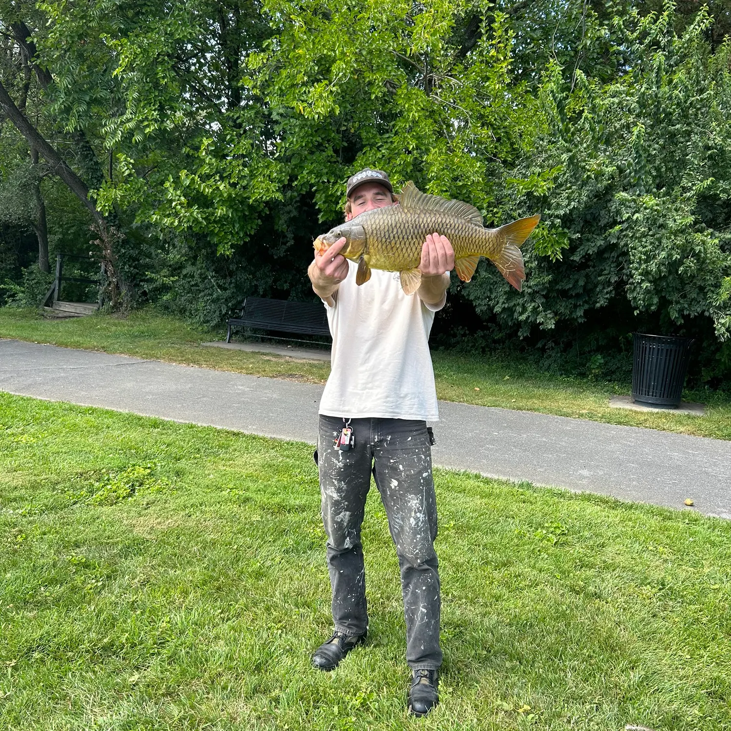 Common carp caught on Fishbrain