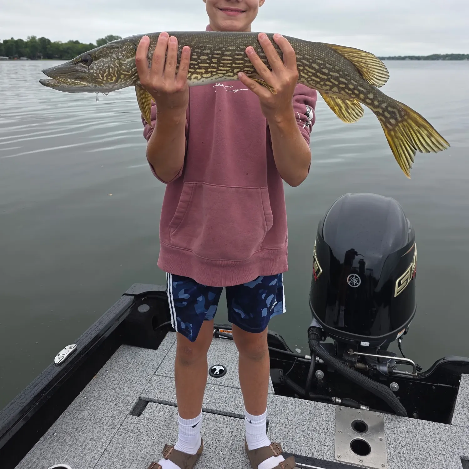 Northern pike caught on Fishbrain
