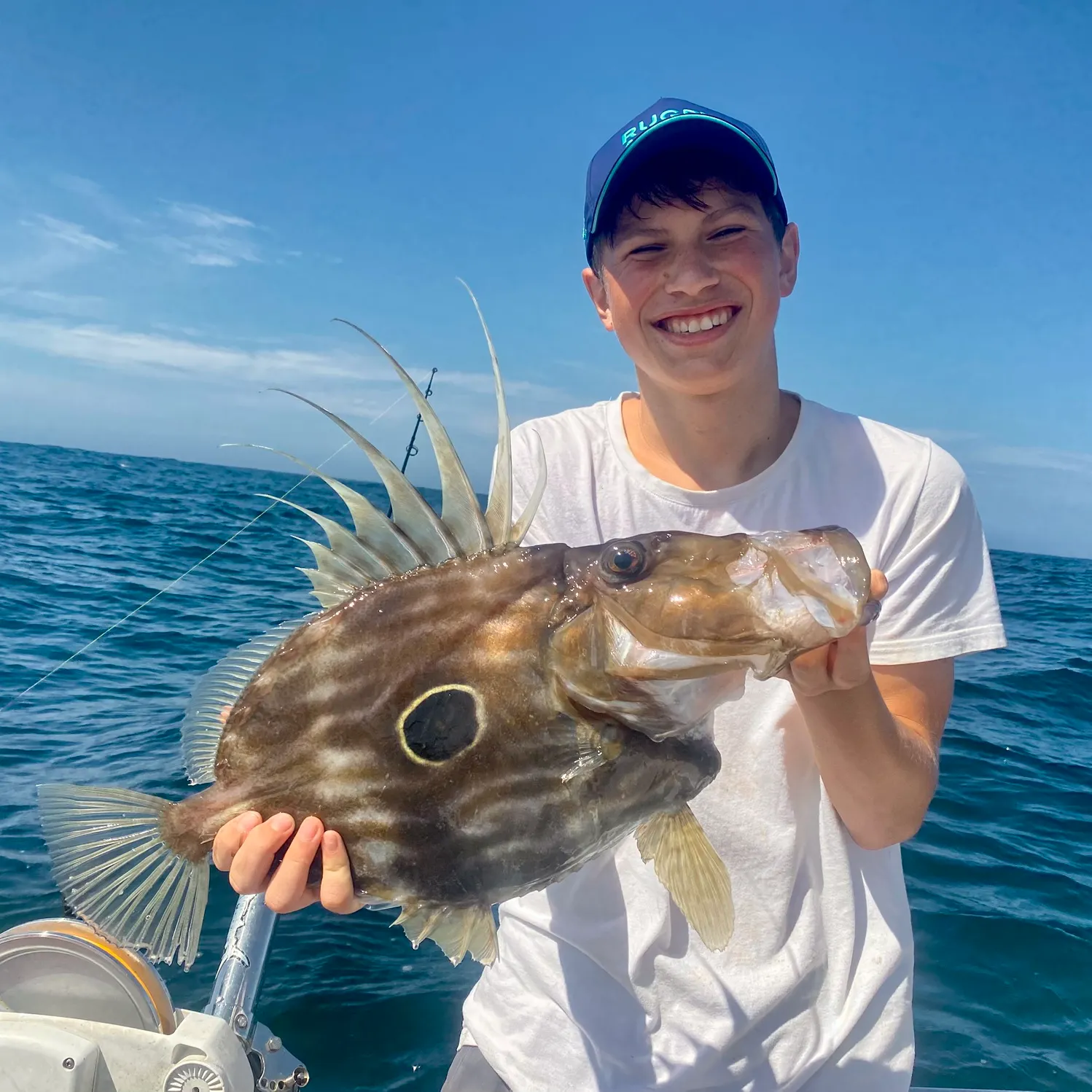 The most recent John dory catches on Fishbrain