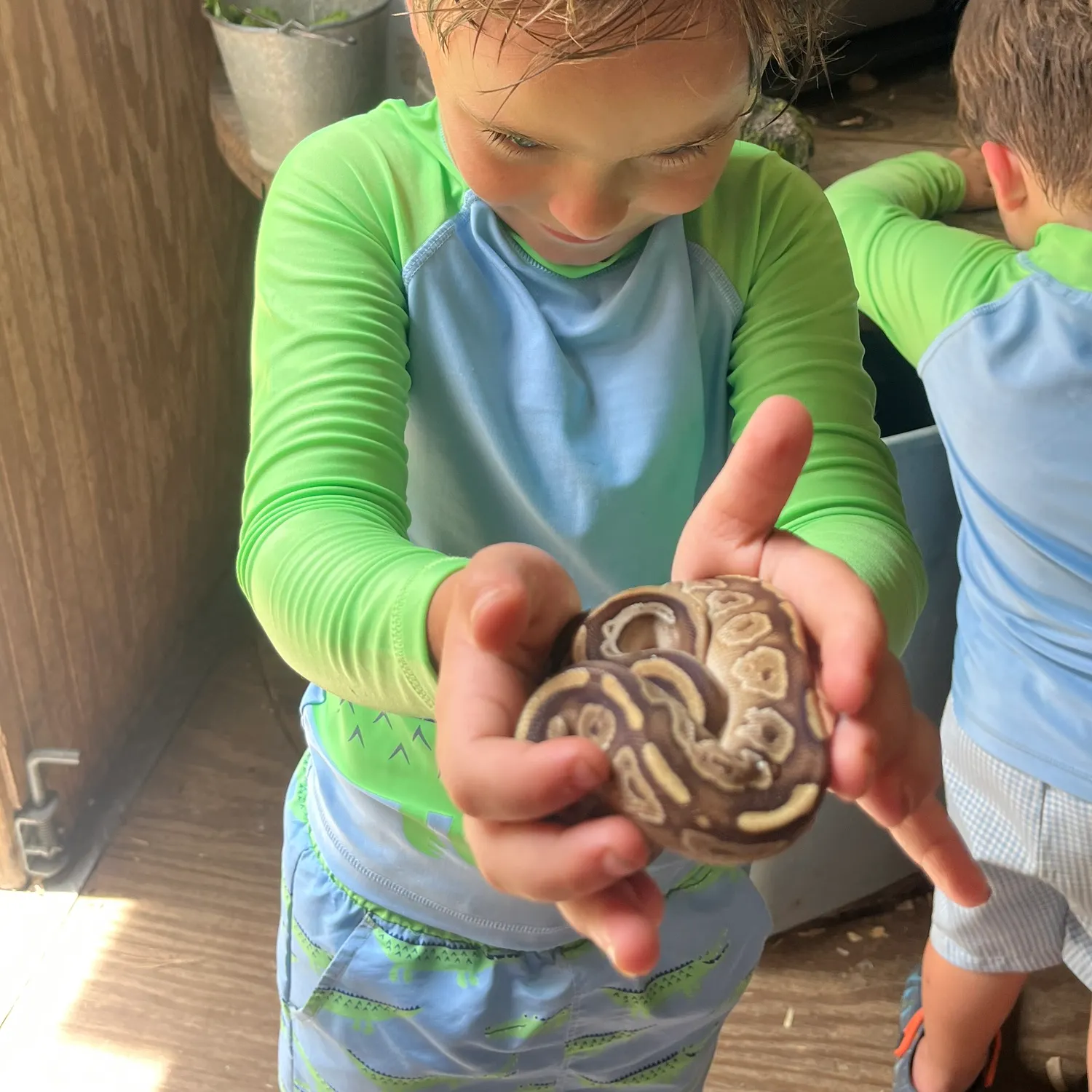 The most recent Harlequin snake eel catches on Fishbrain