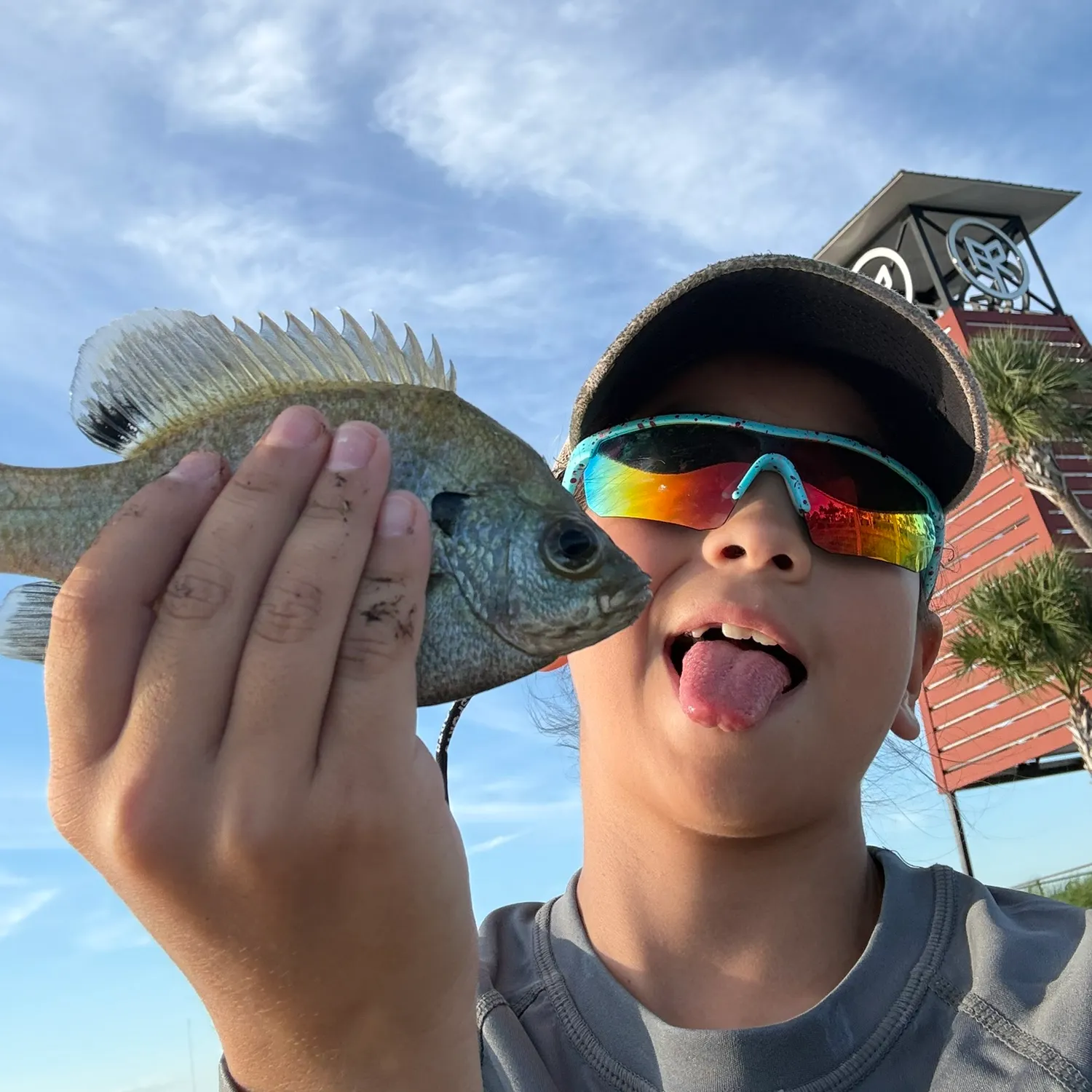 Bluegill caught on Fishbrain