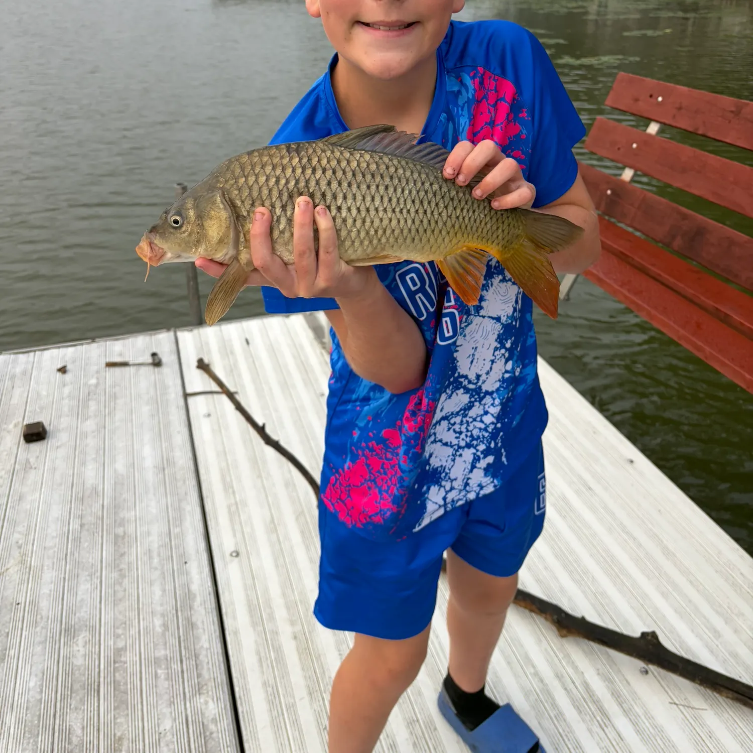Common carp caught on Fishbrain