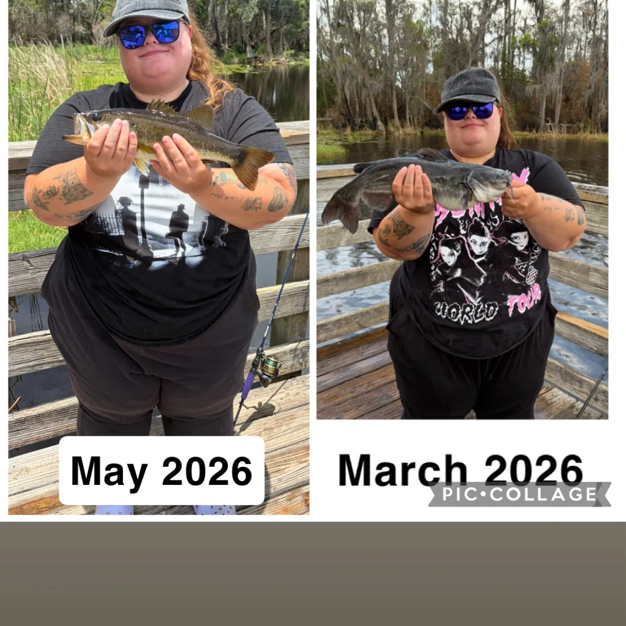 recently logged catches