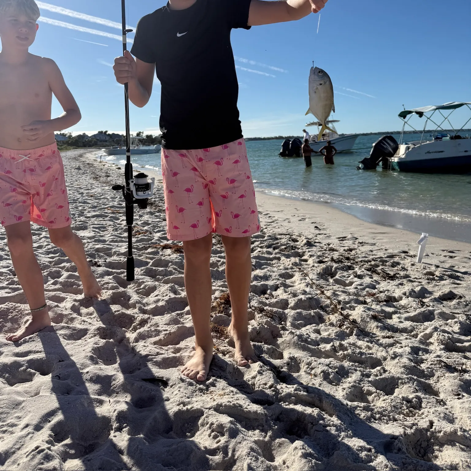 The most recent Crevalle jack catches on Fishbrain