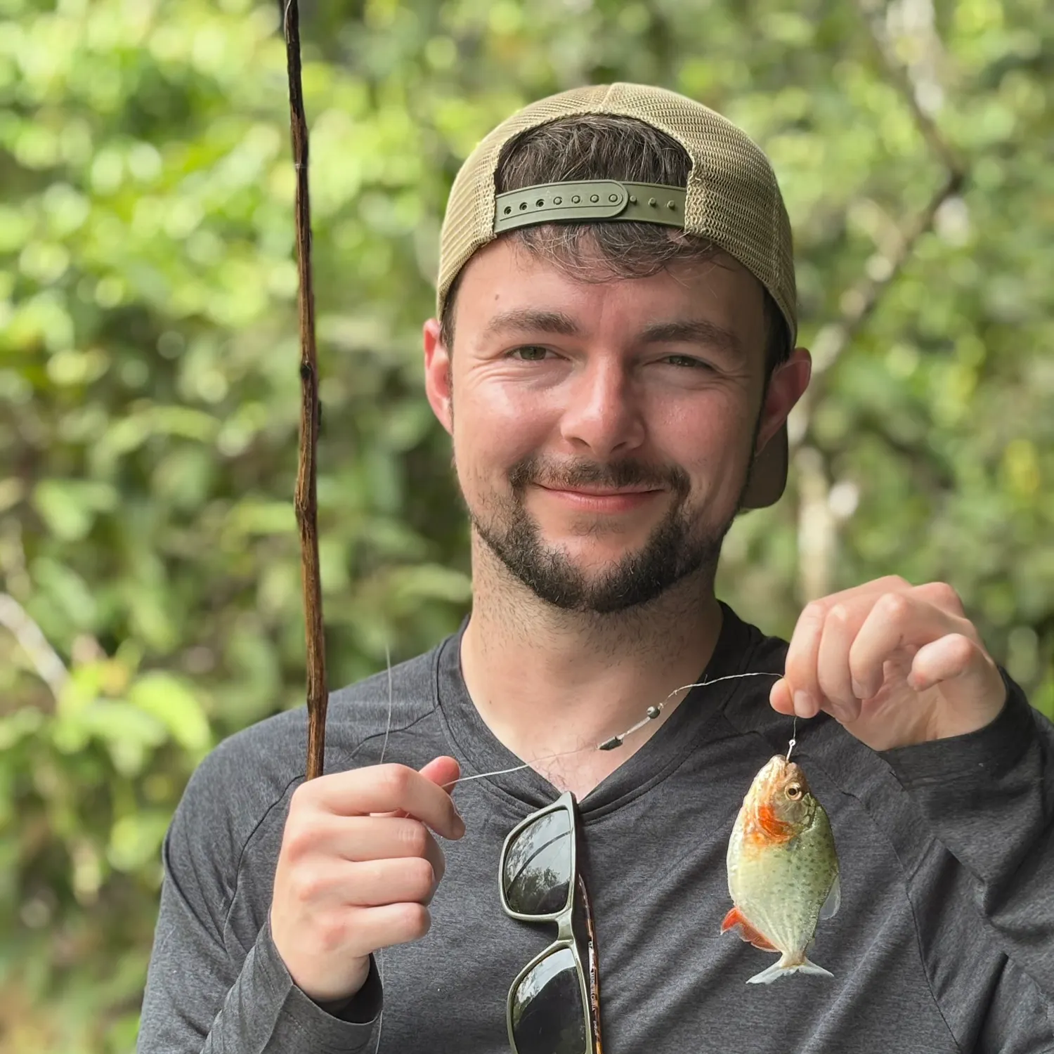 The most recent Red-bellied piranha catches on Fishbrain