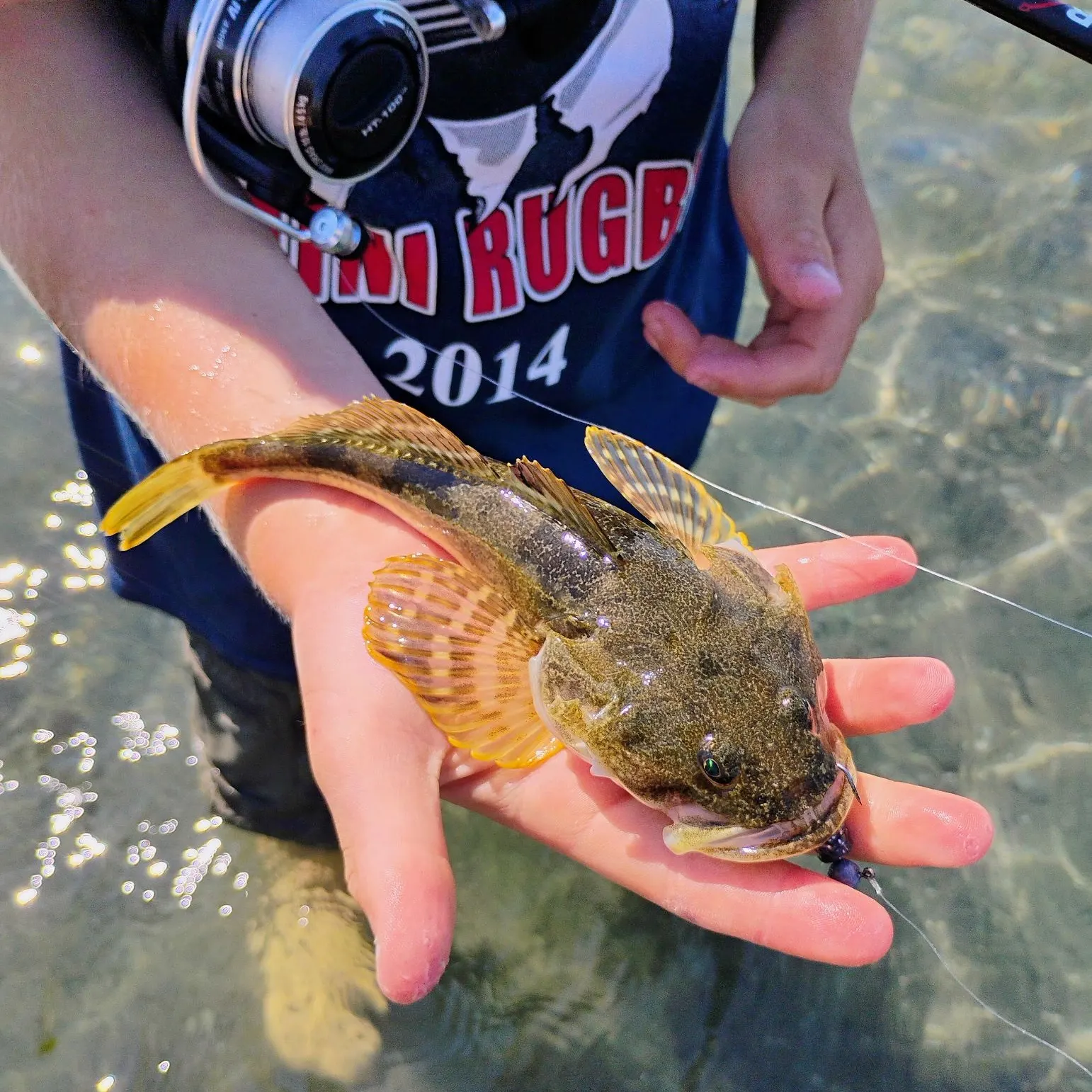 The most recent Pacific staghorn sculpin catches on Fishbrain