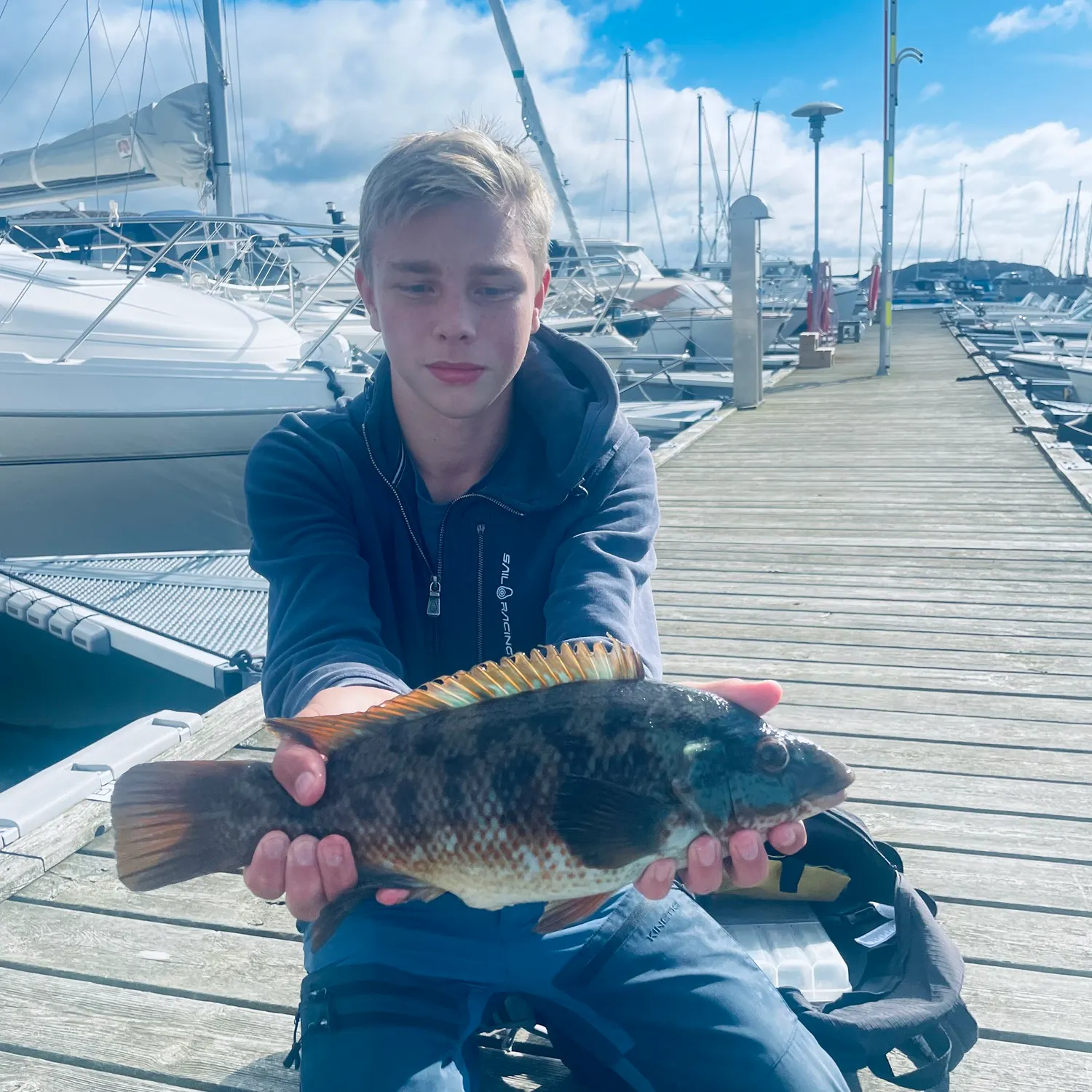 Ballan wrasse caught on Fishbrain