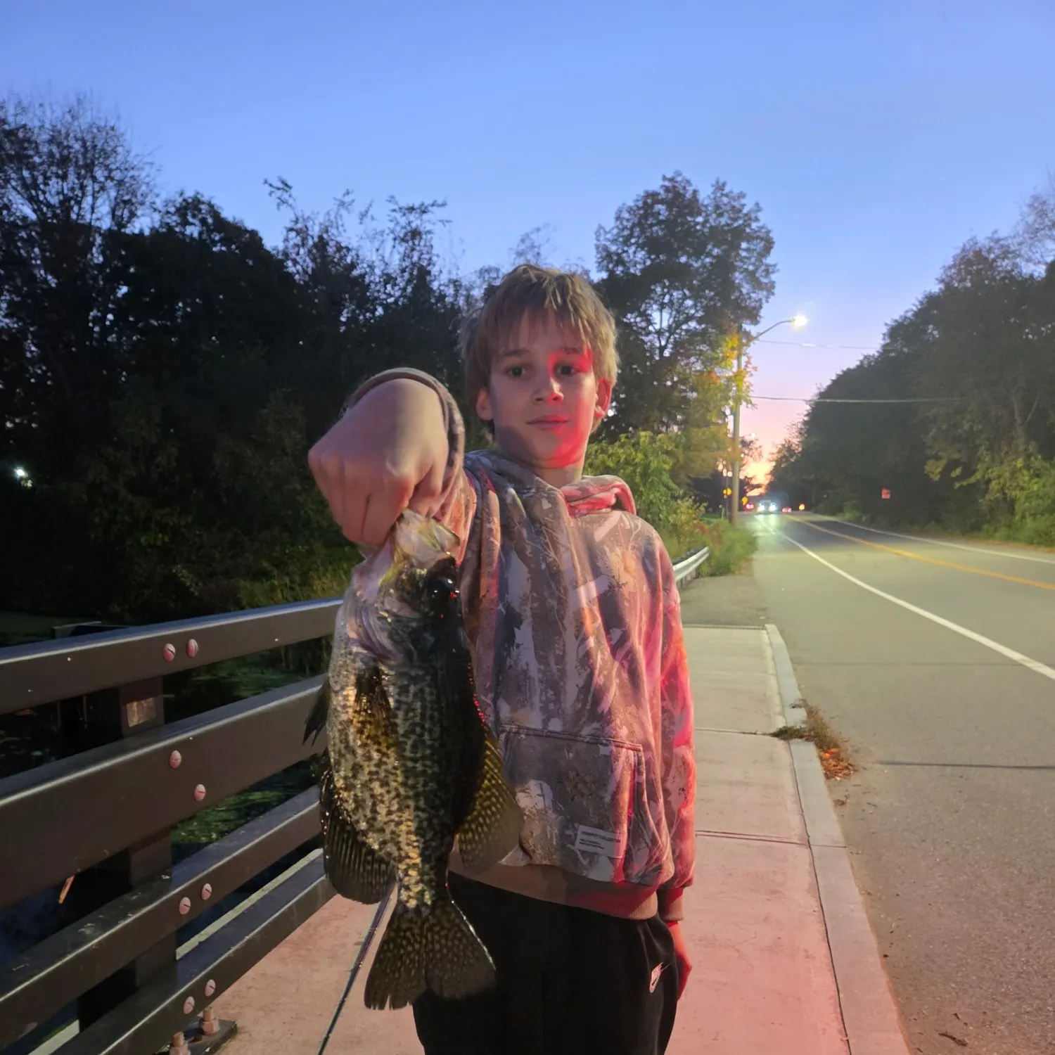 Black crappie caught on Fishbrain