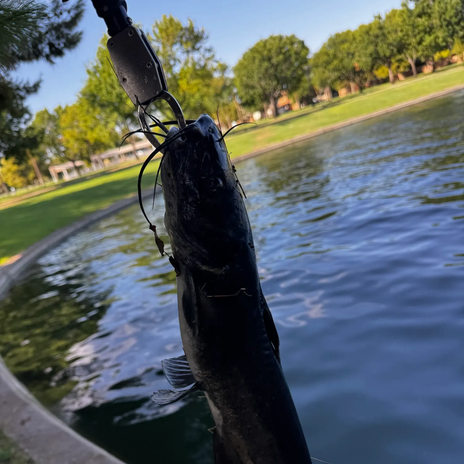 catch