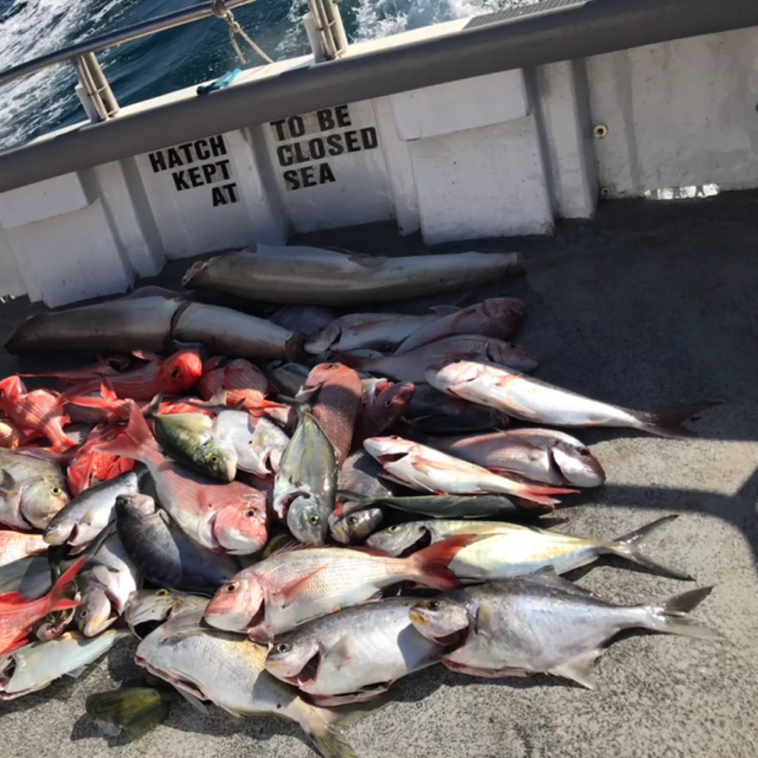 recently logged catches