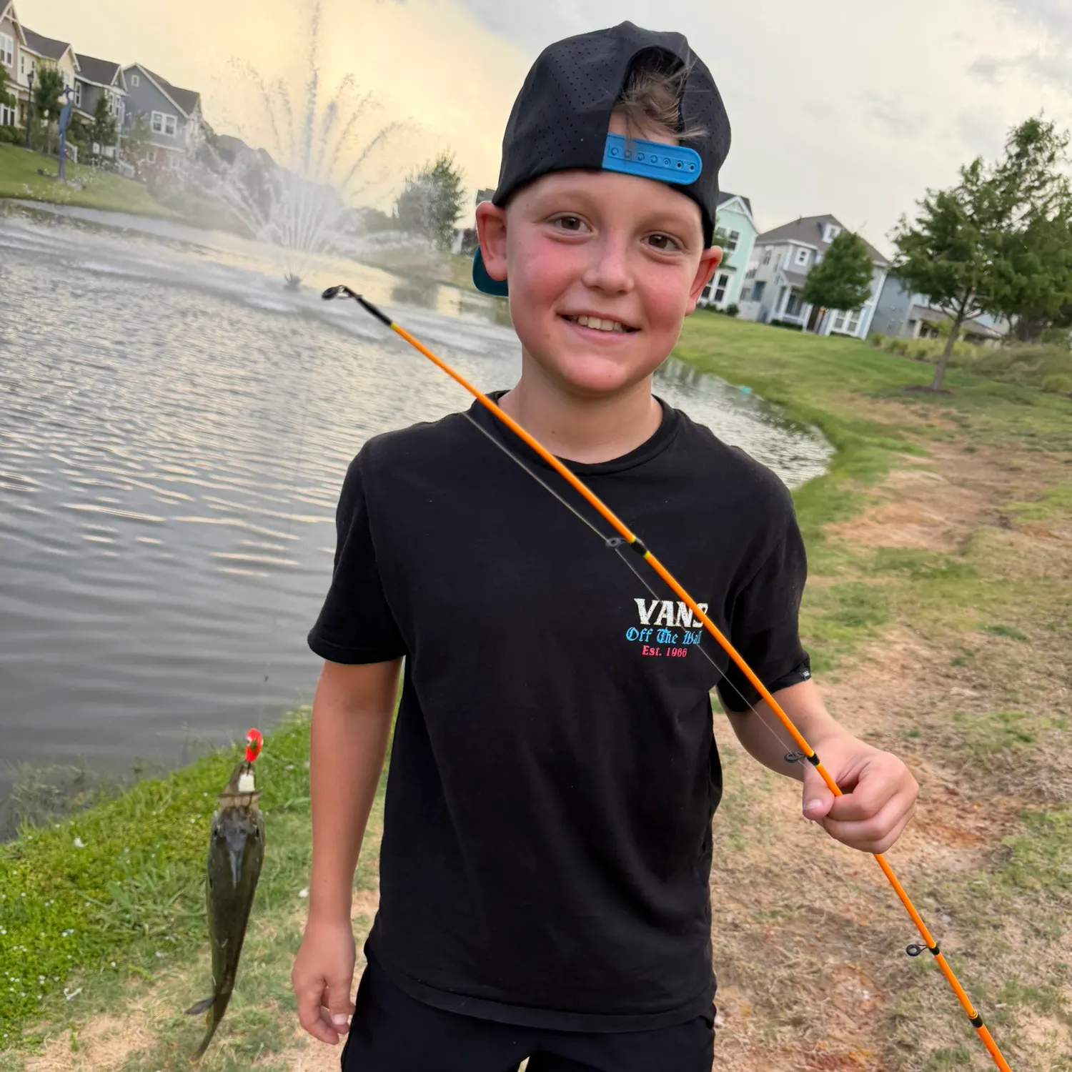Green sunfish caught on Fishbrain