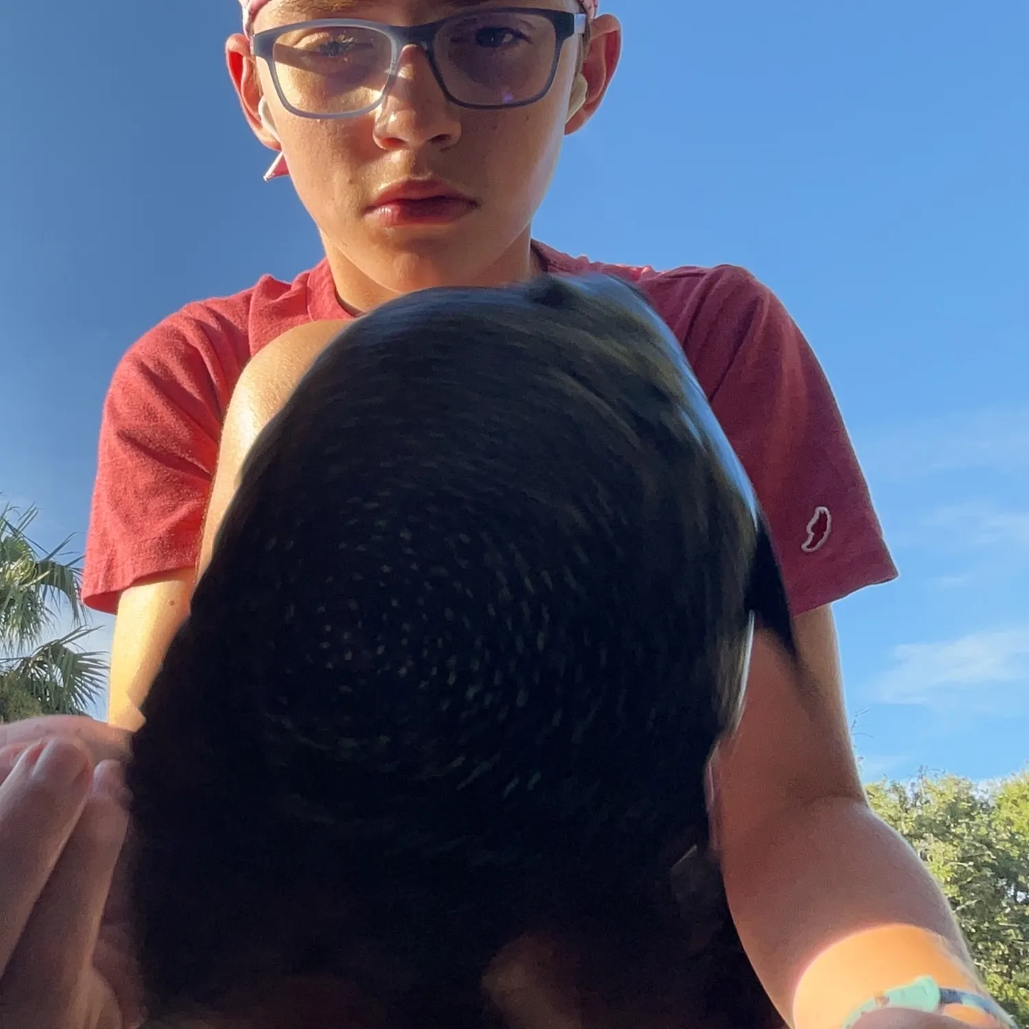Rio Grande cichlid caught on Fishbrain