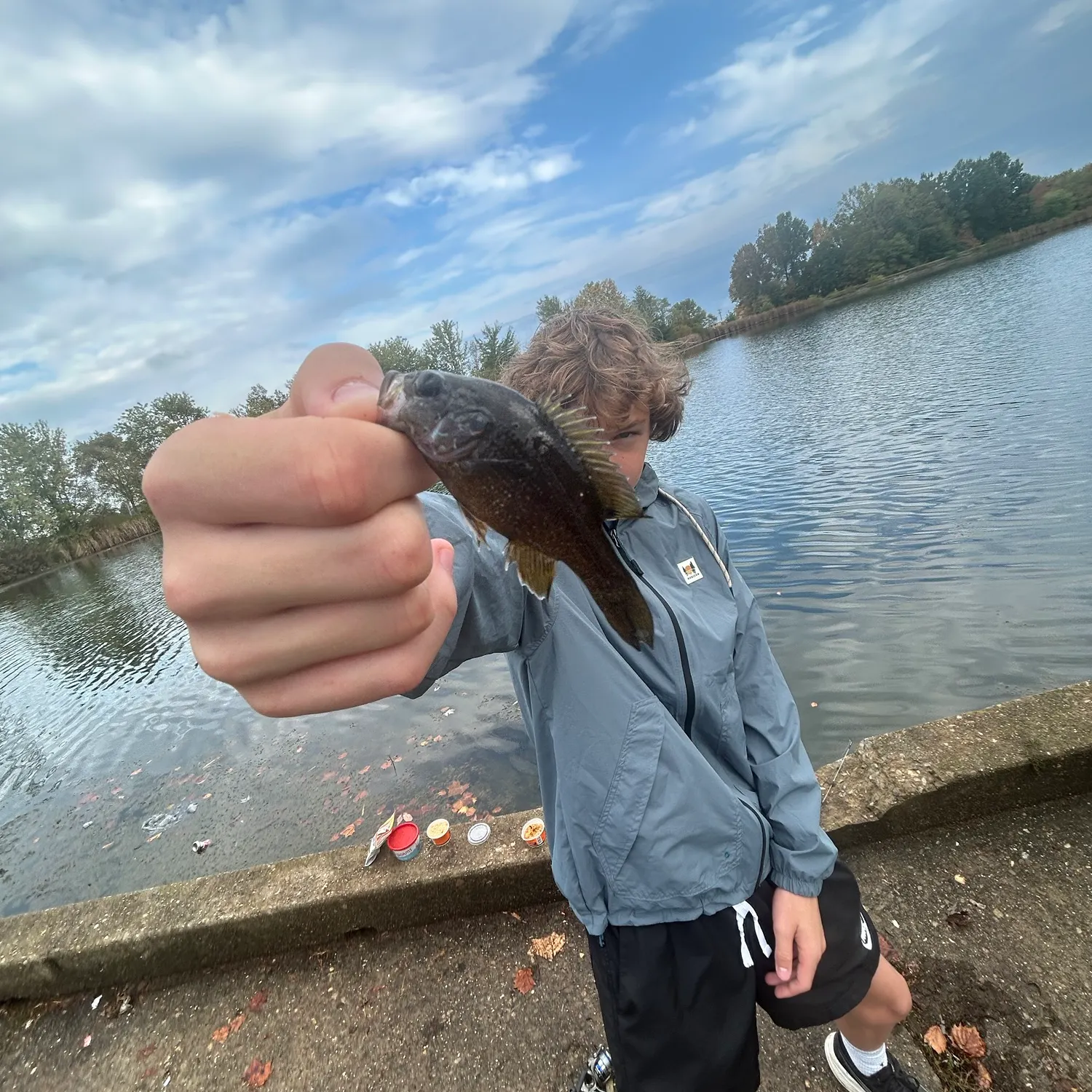 Green sunfish caught on Fishbrain