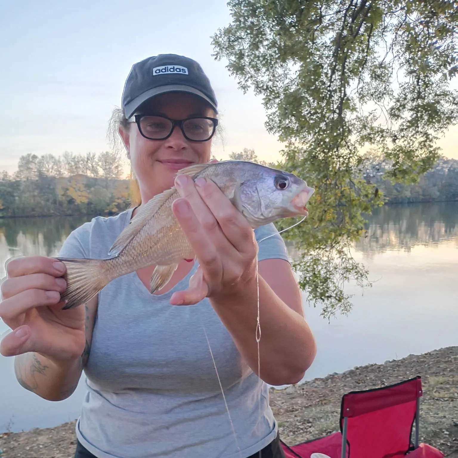 Freshwater drum caught on Fishbrain