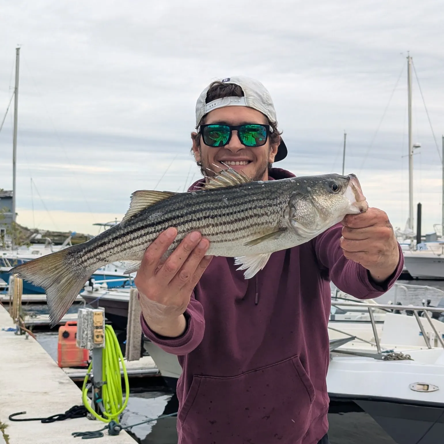 Striped bass caught on Fishbrain