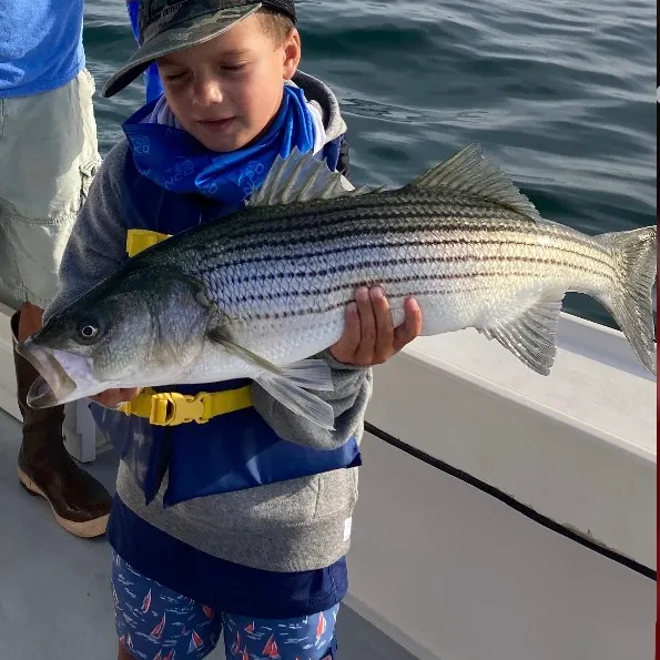 Fish caught on Fishbrain