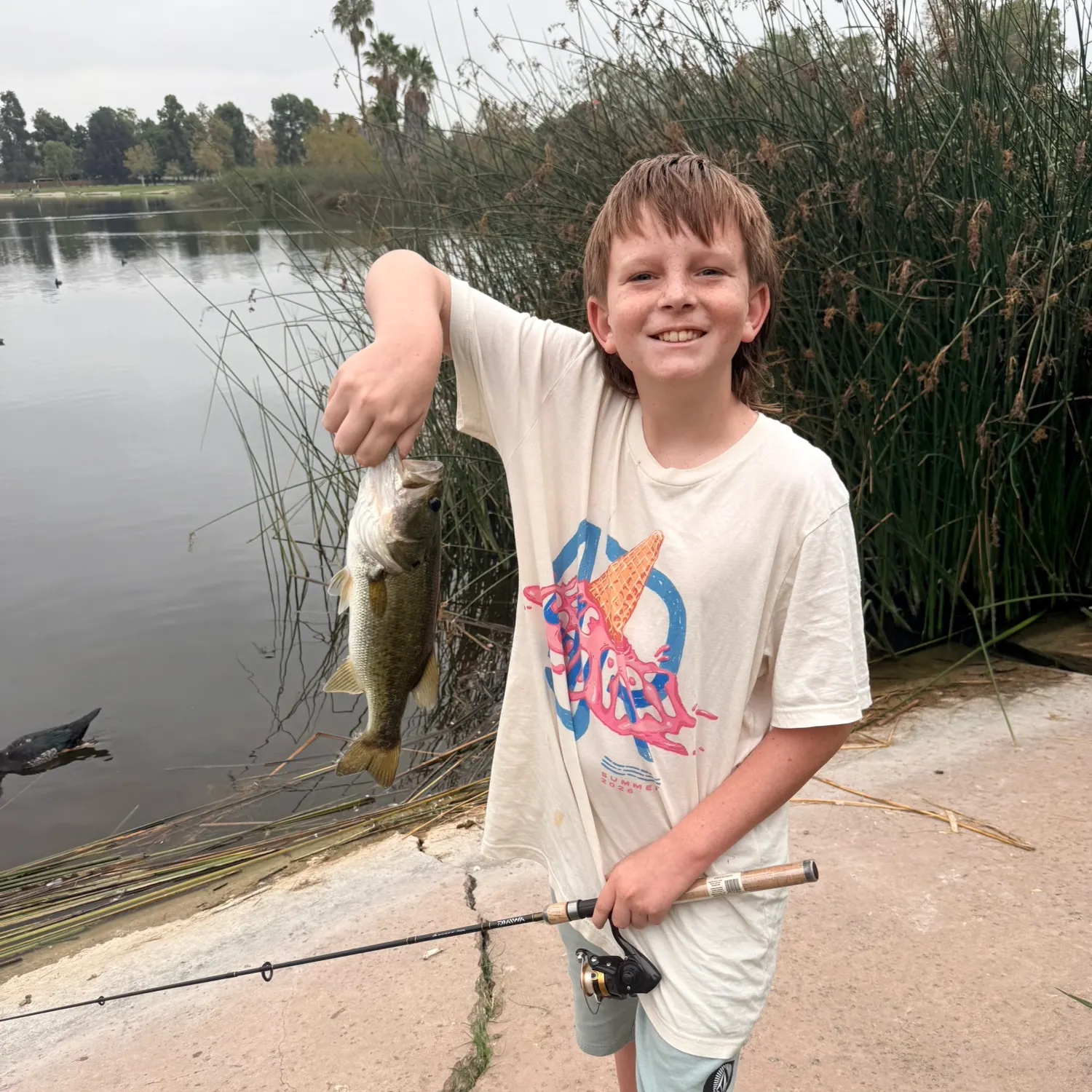 Largemouth bass caught on Fishbrain
