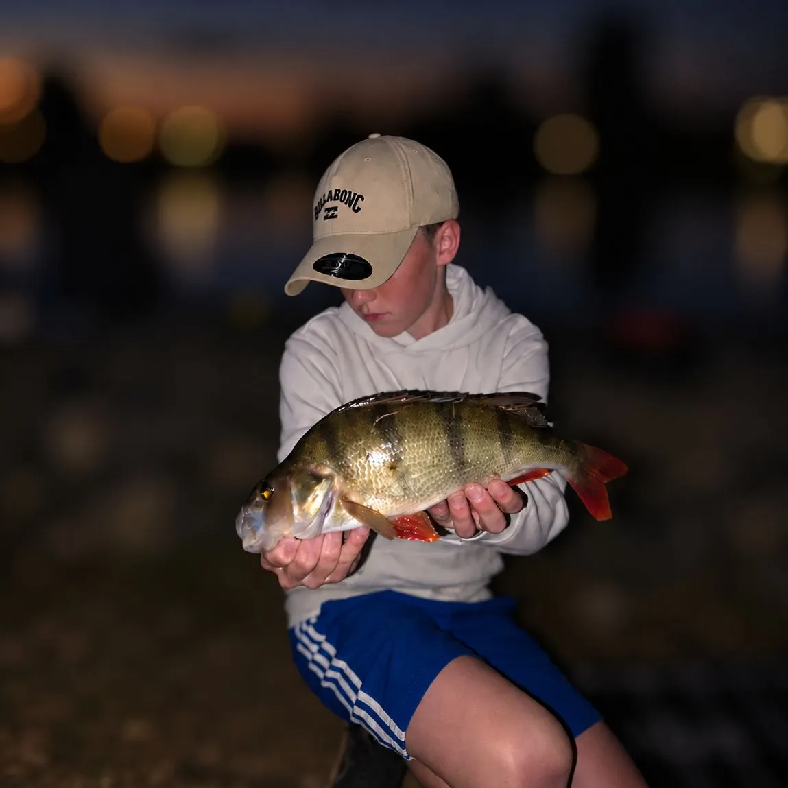 European perch caught on Fishbrain