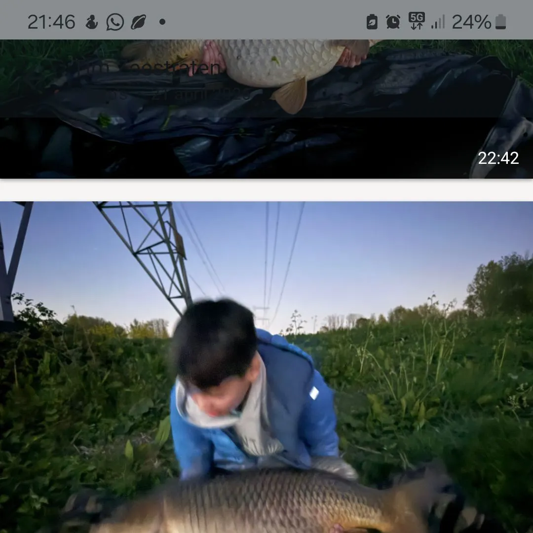 recently logged catches