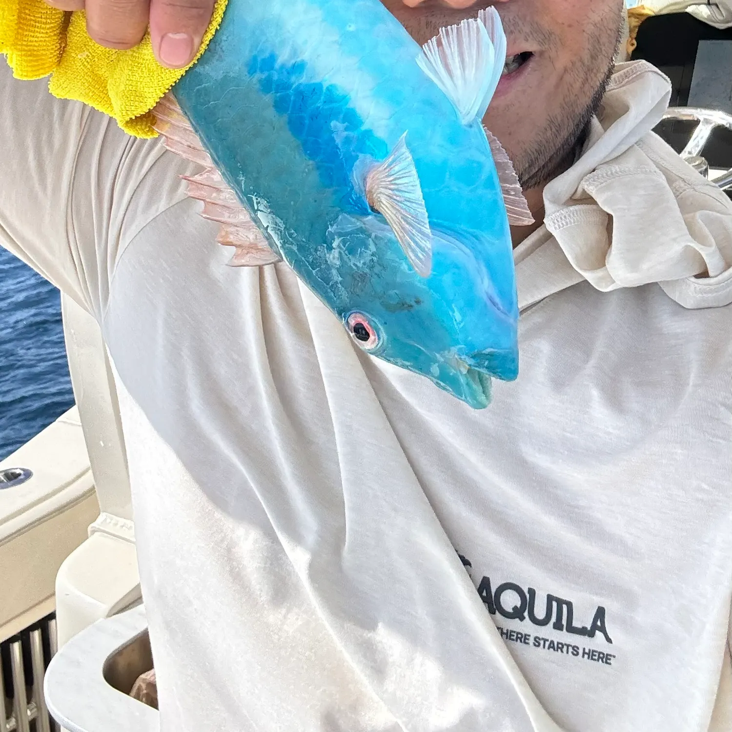 The most recent Puddingwife wrasse catches on Fishbrain