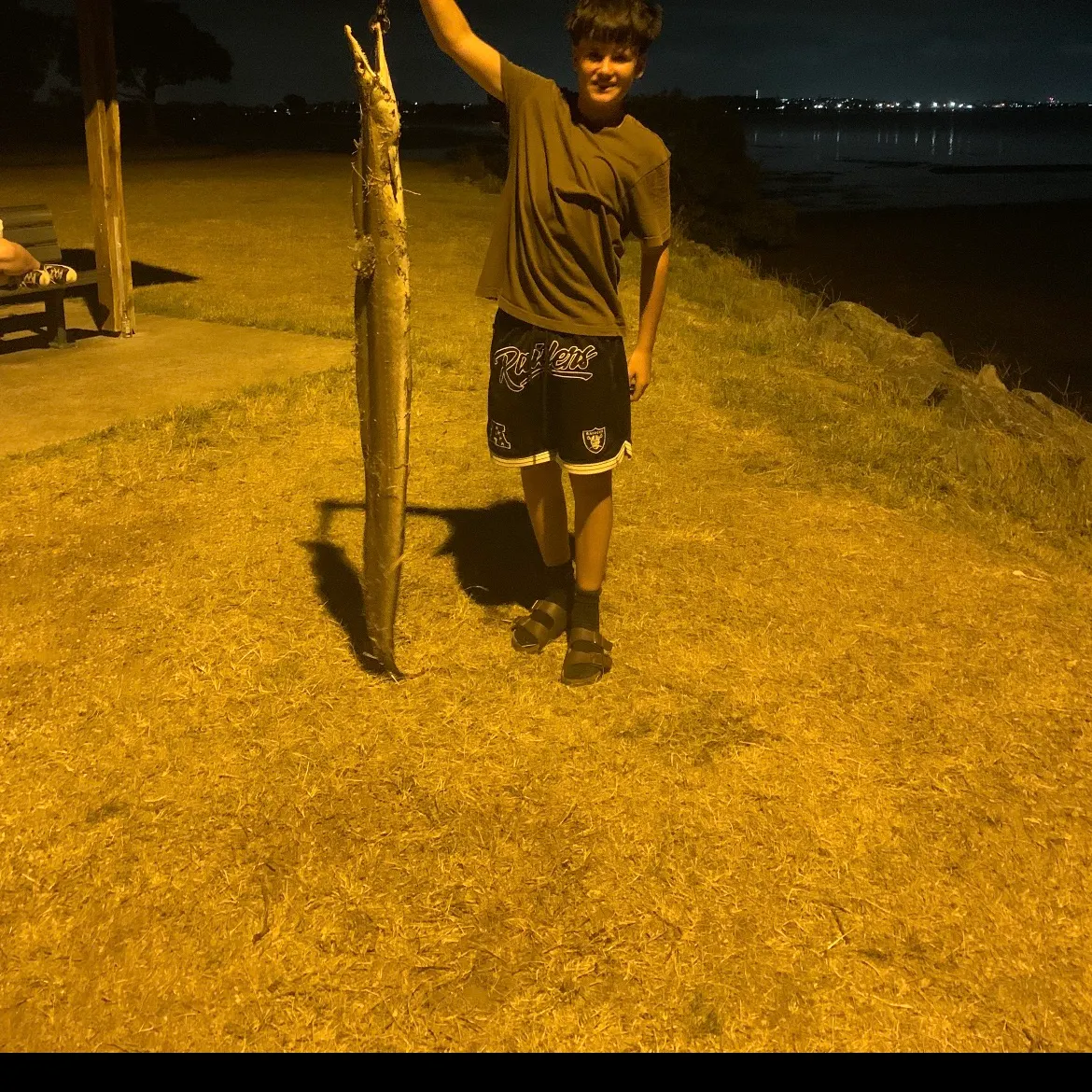 The most recent Common pike conger catches on Fishbrain