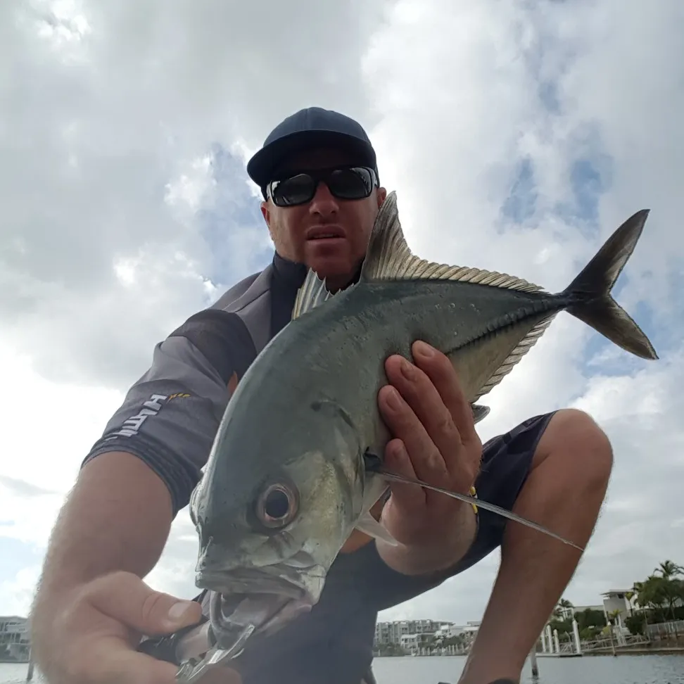 The most popular recent Bigeye trevally catch on Fishbrain