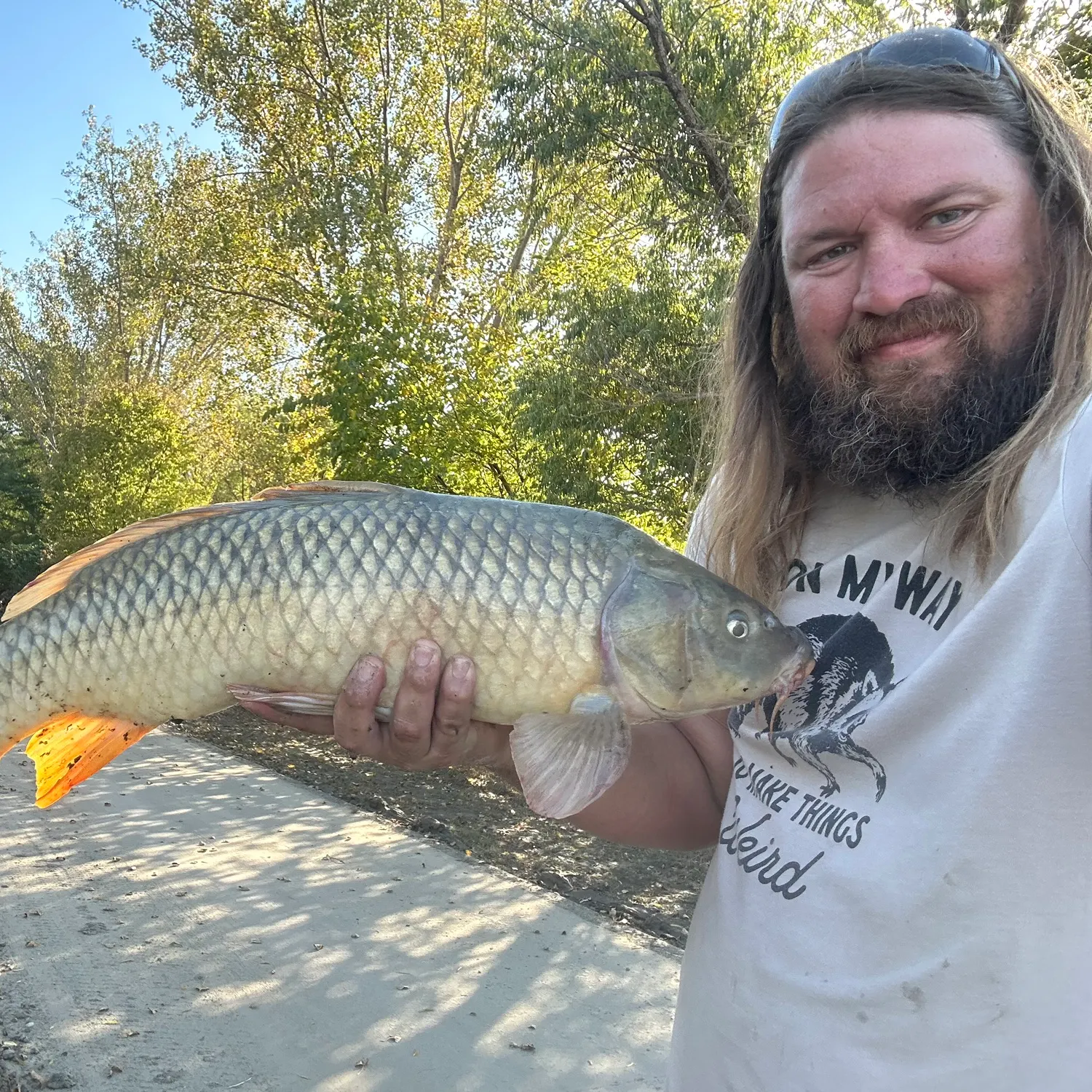 Common carp caught on Fishbrain