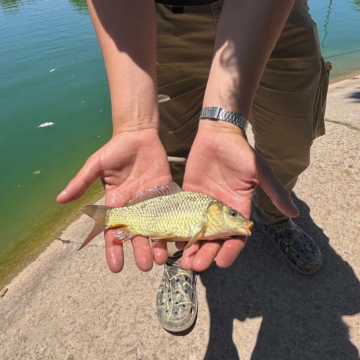 catch