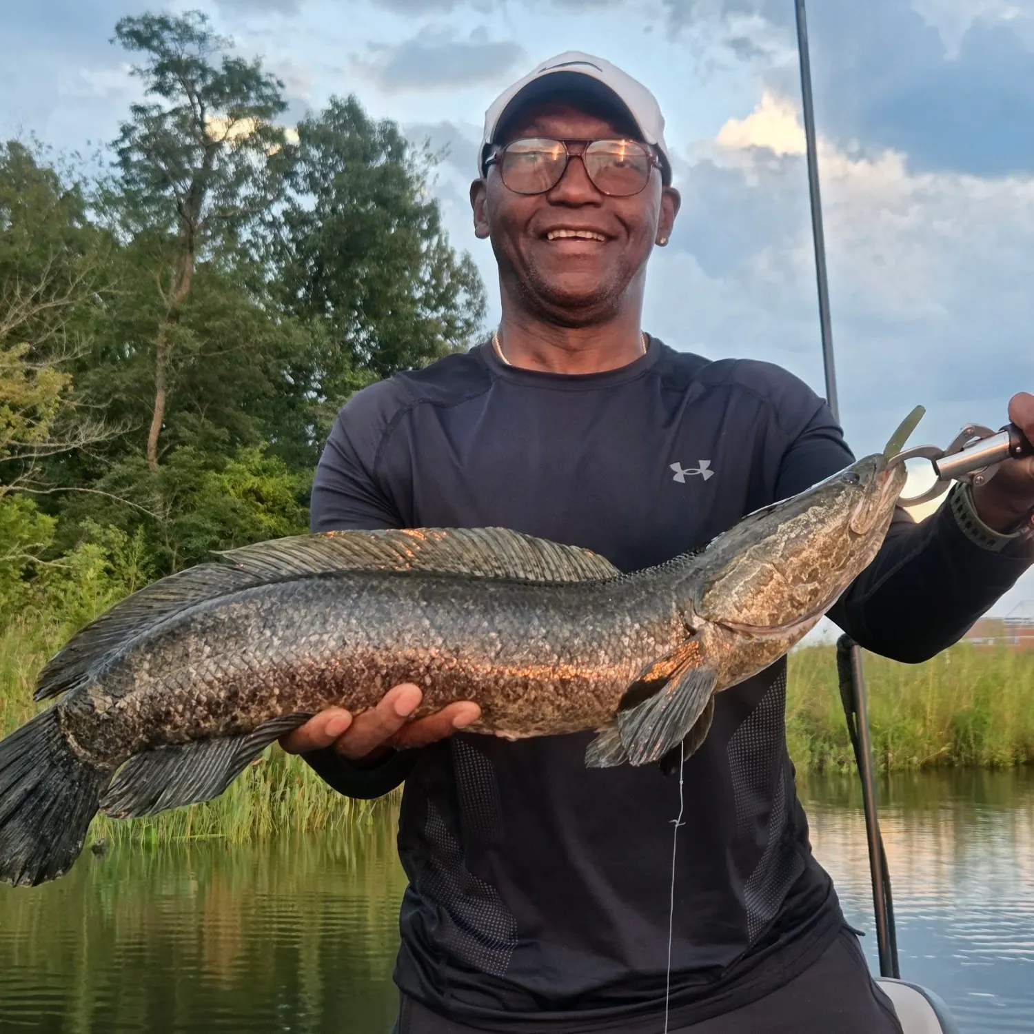 Northern snakehead caught on Fishbrain