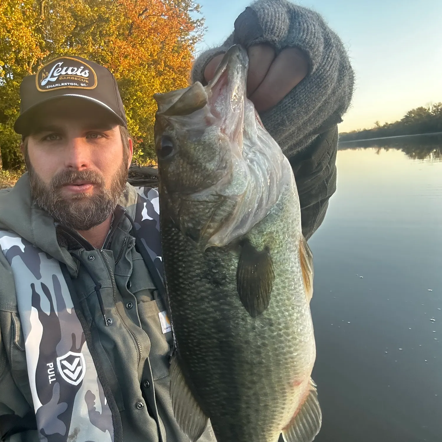 Largemouth bass caught on Fishbrain