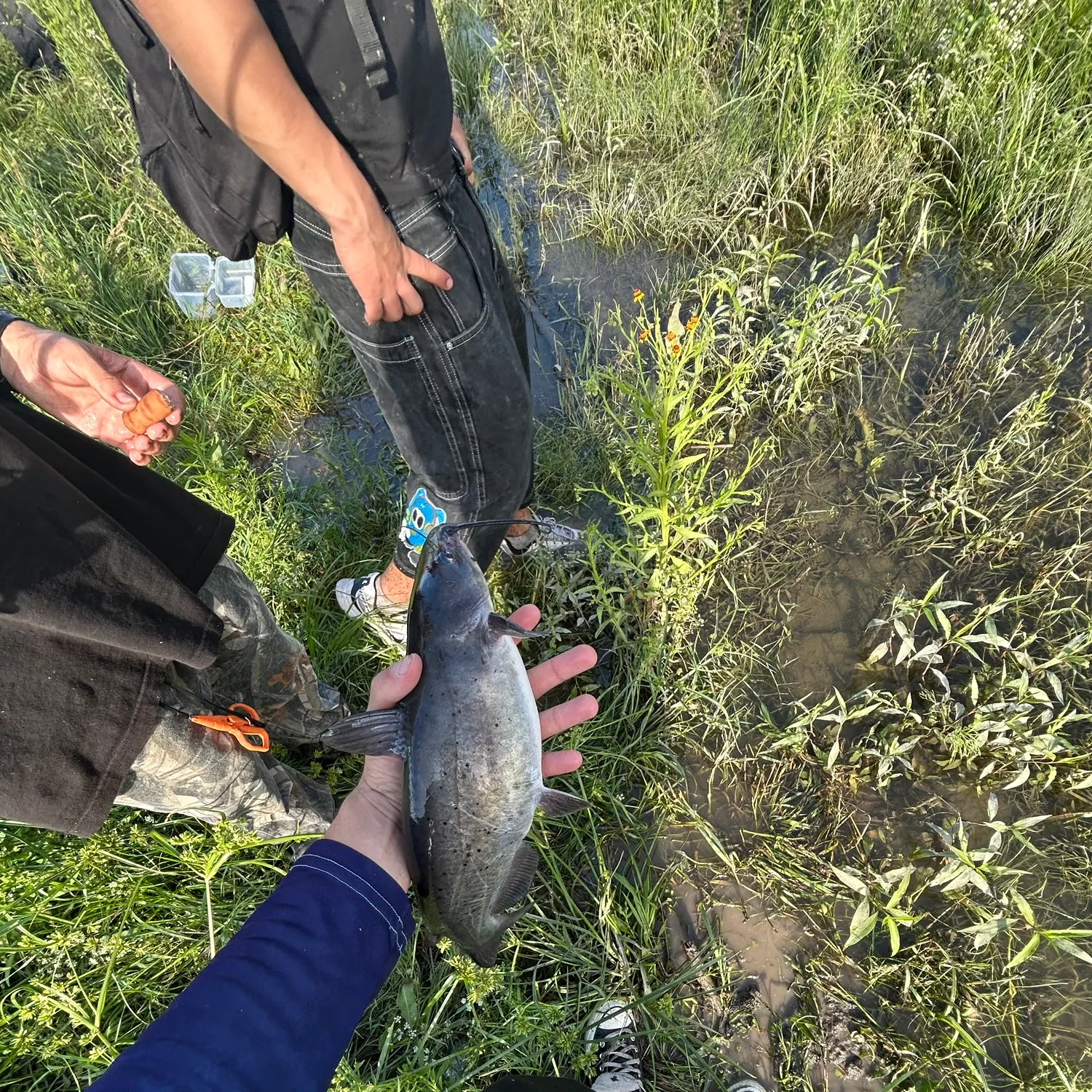 catch