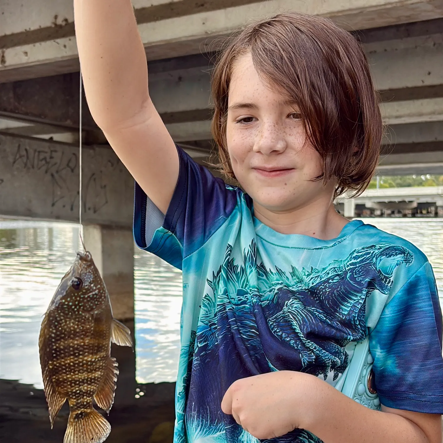 Rio Grande cichlid caught on Fishbrain