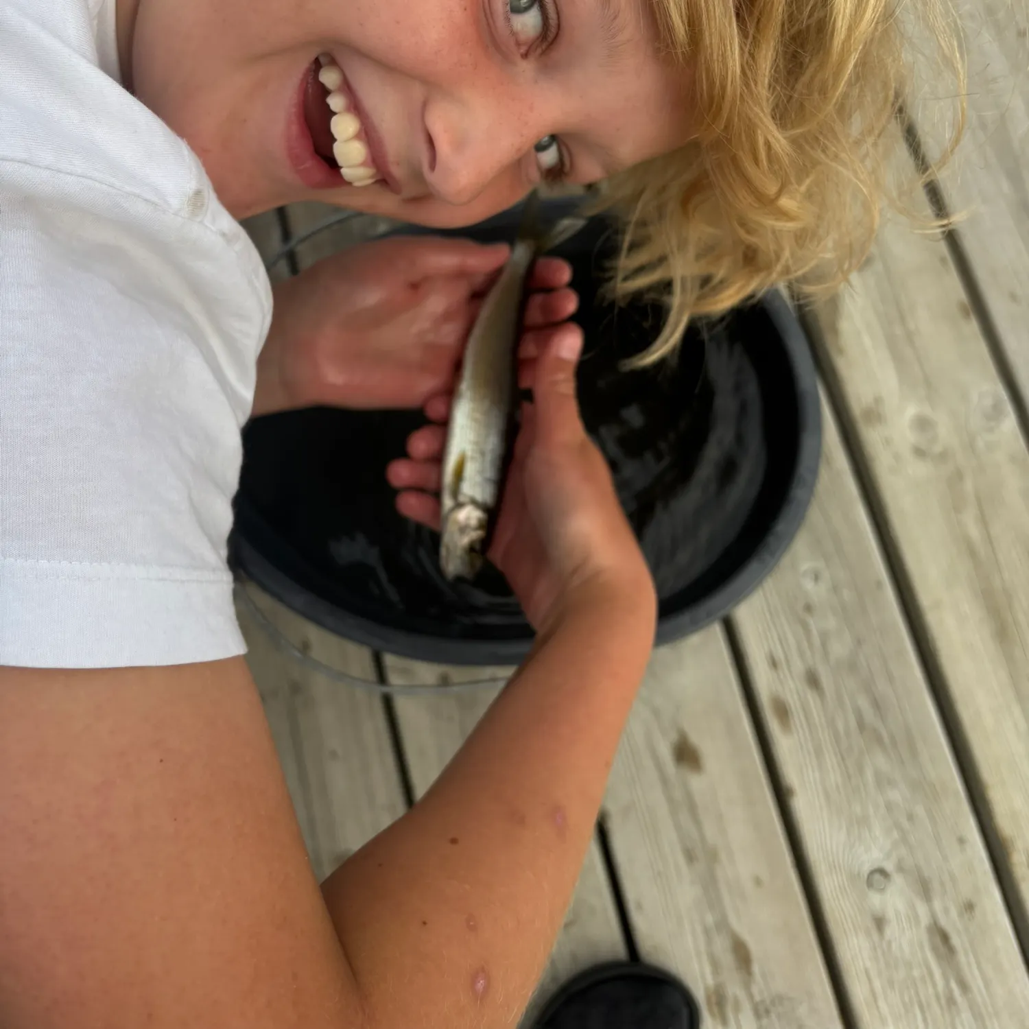 European grayling caught on Fishbrain