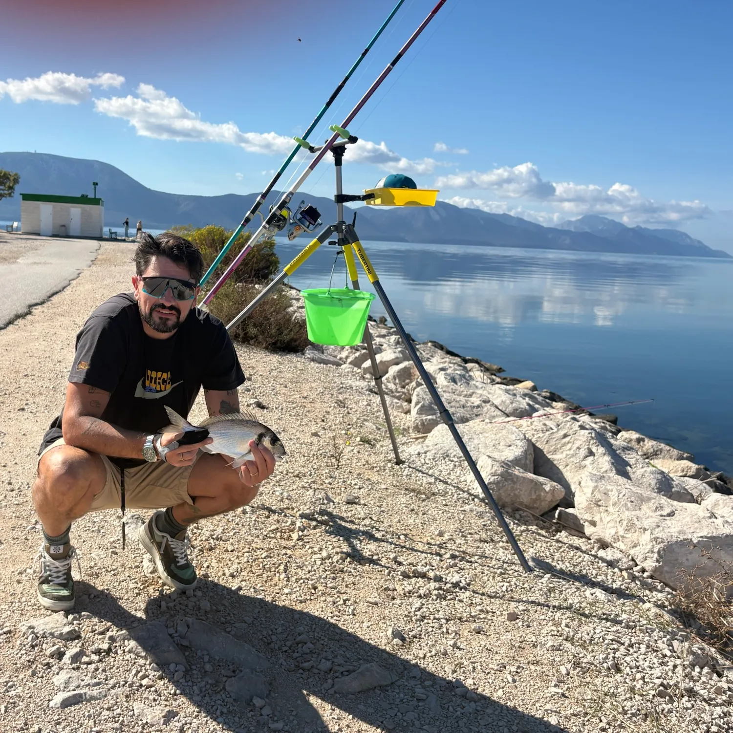 The most recent Gilthead seabream catches on Fishbrain