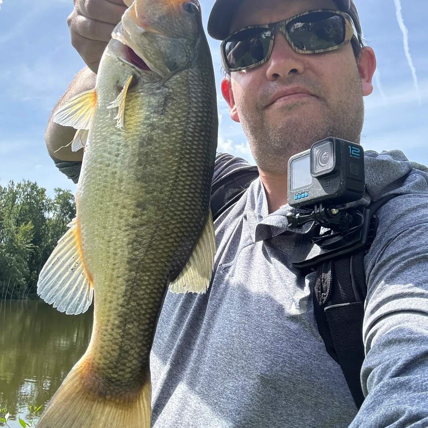 Largemouth bass caught on Fishbrain