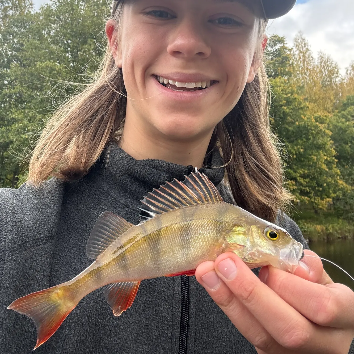 European perch caught on Fishbrain