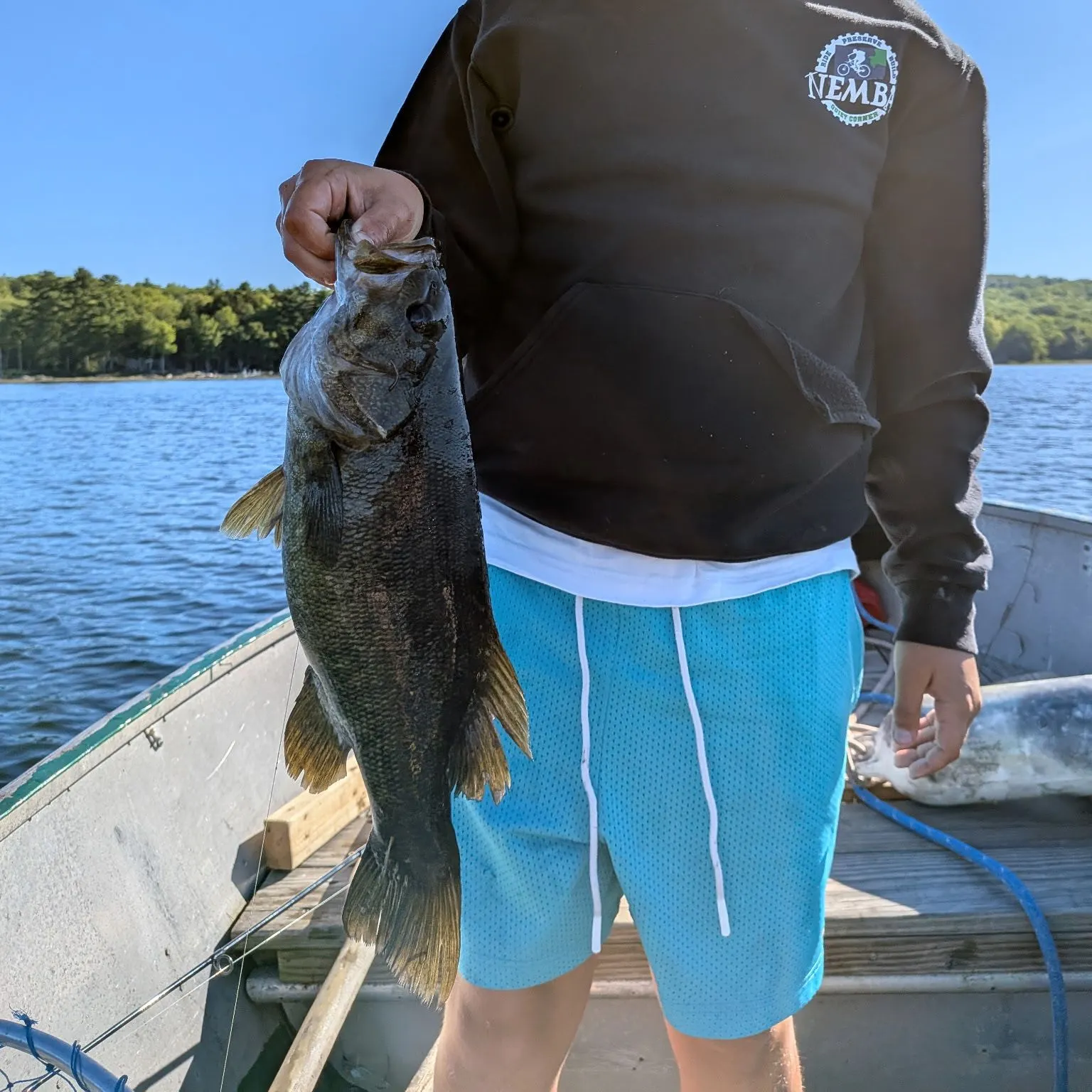 Smallmouth bass caught on Fishbrain