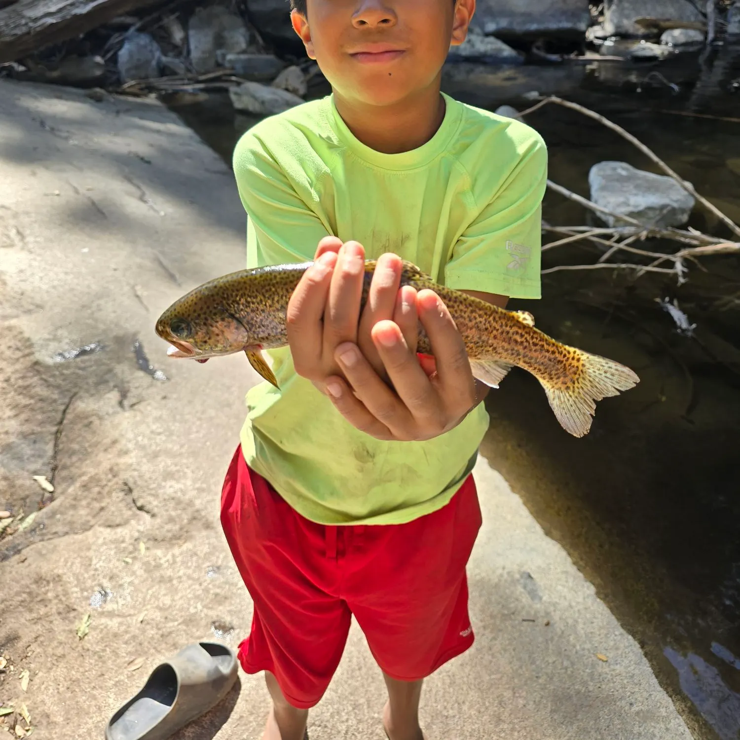 Rainbow trout caught on Fishbrain