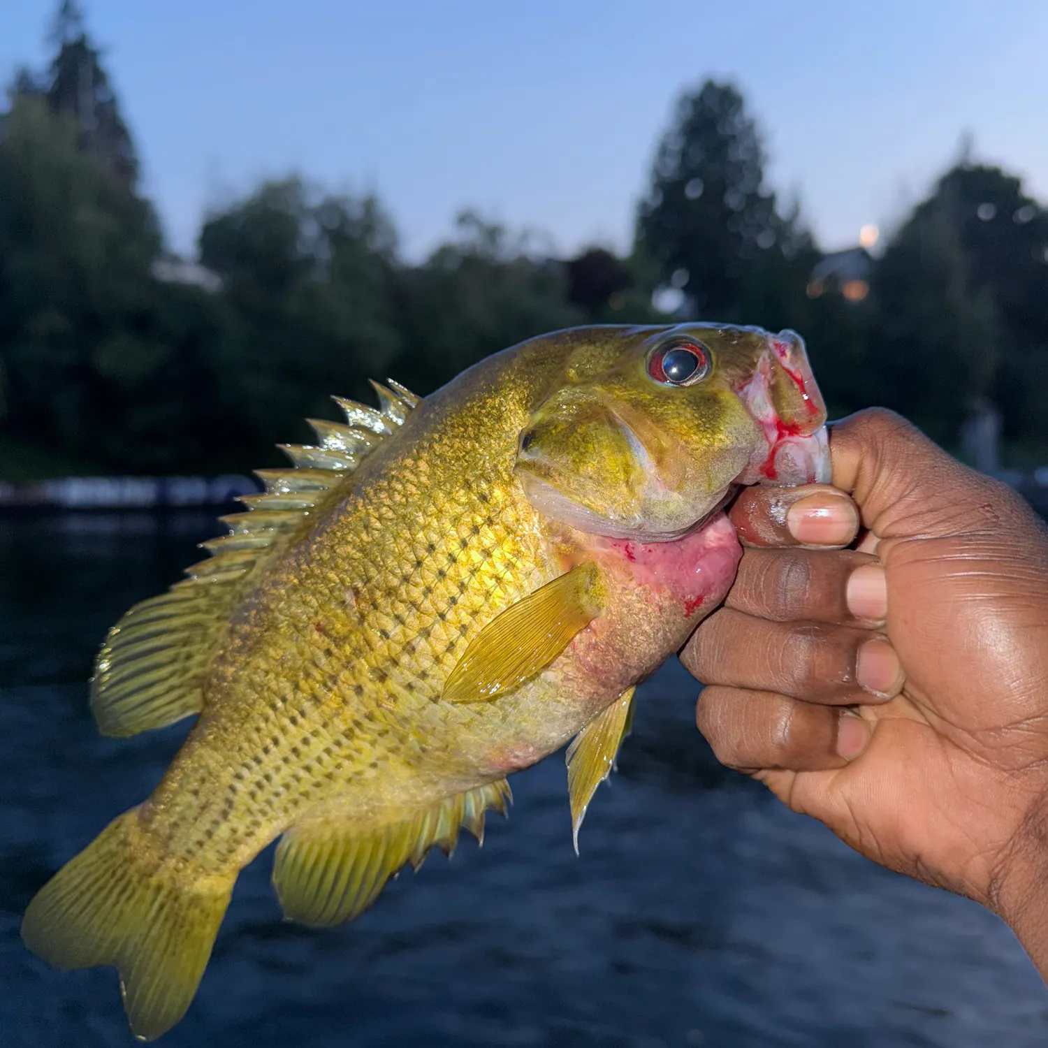 catch